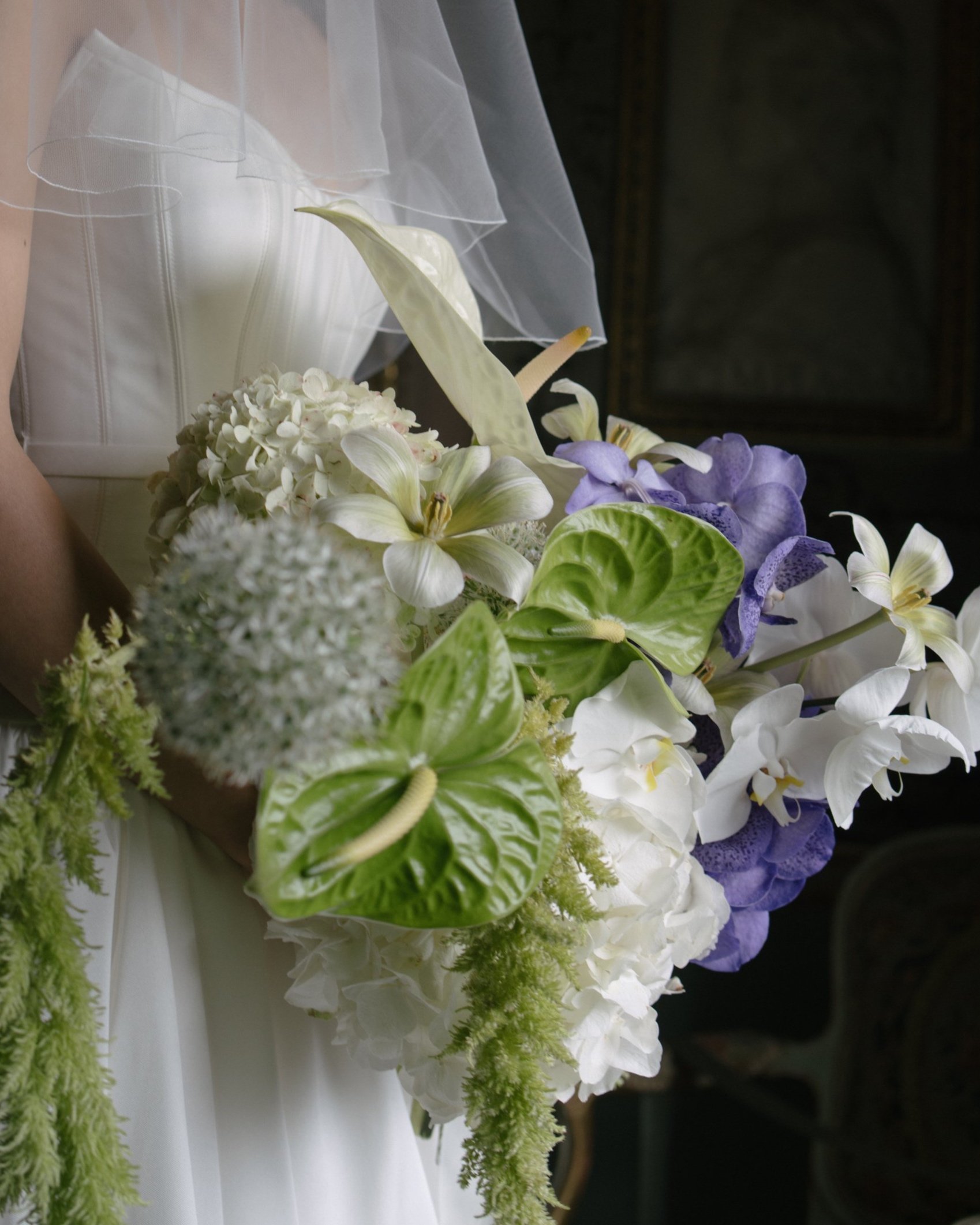 DSC06113-2.jpg
