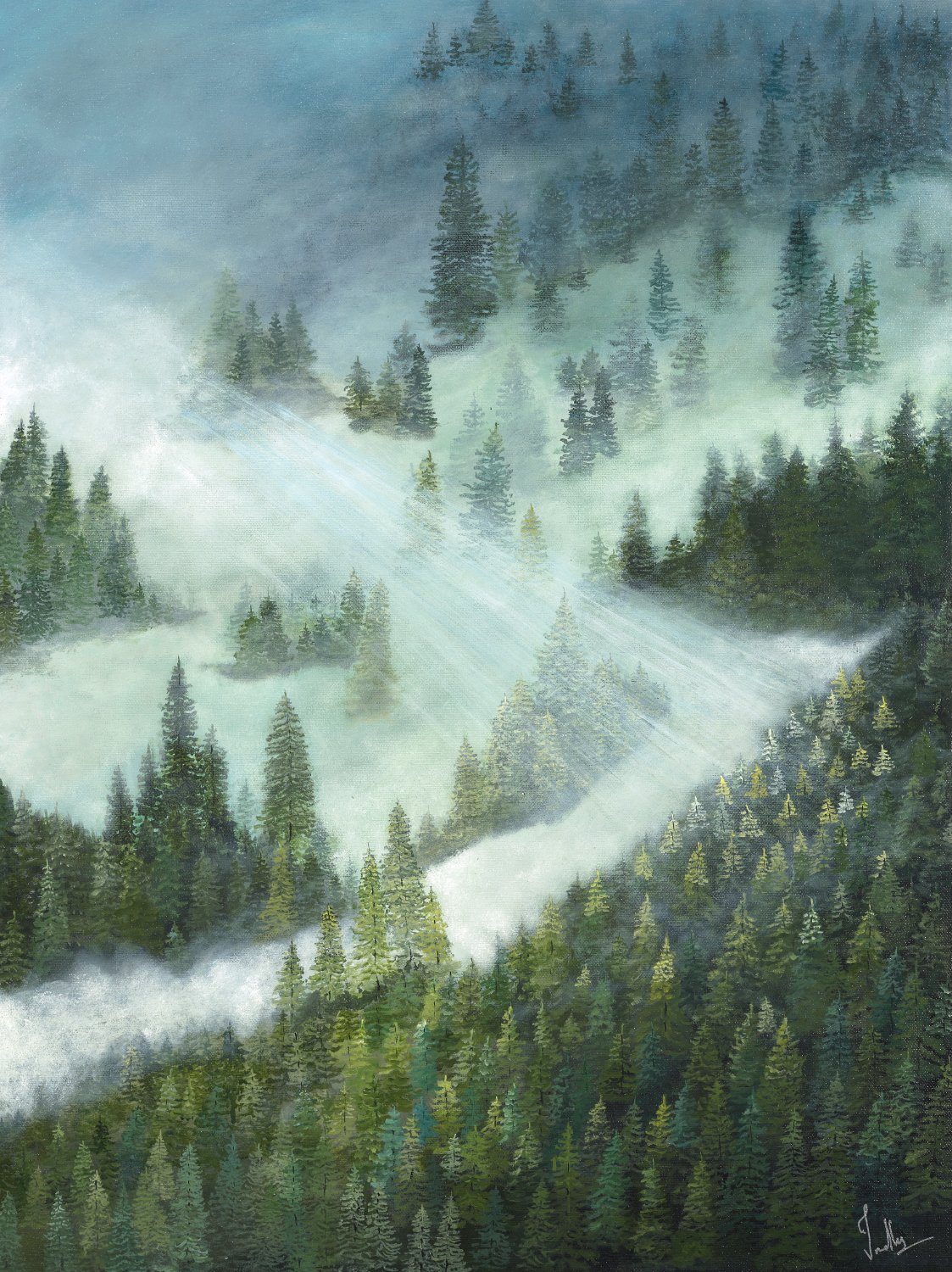 Foggy Forest.jpg