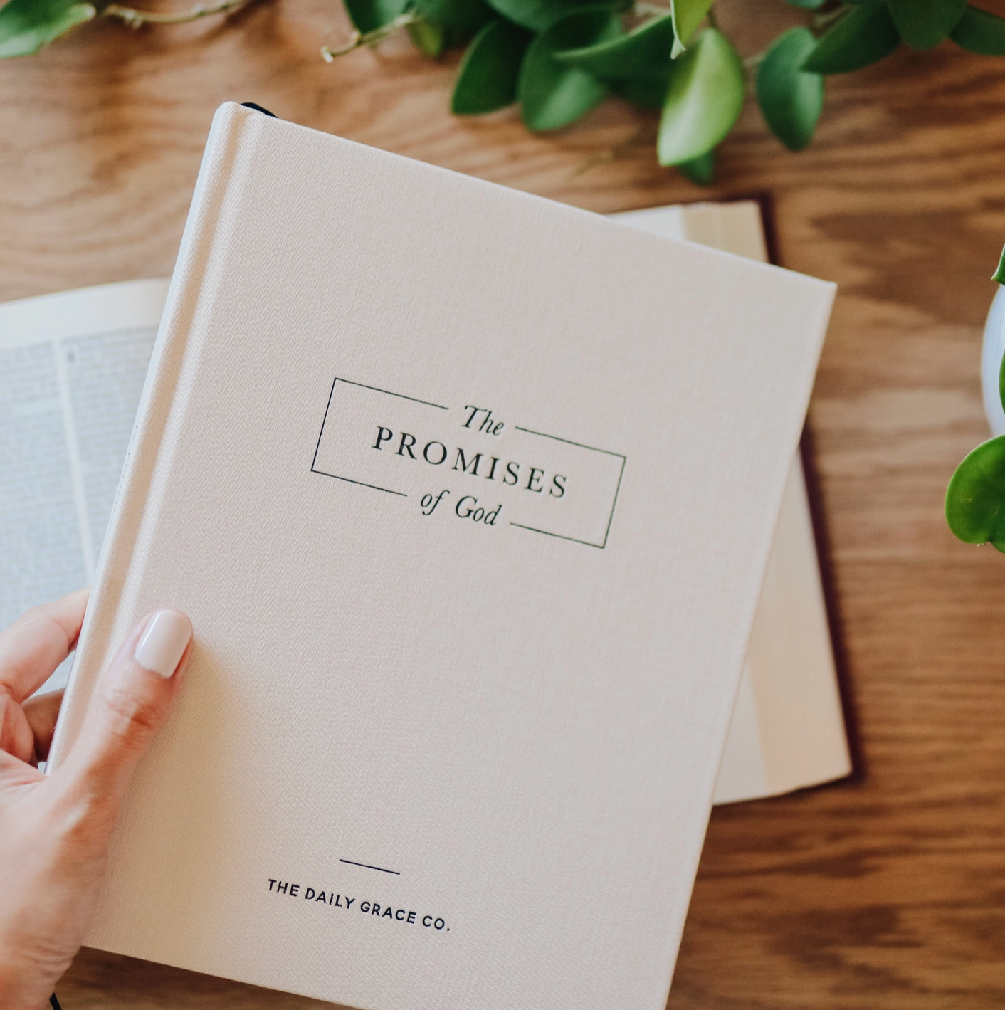 Screenshot 2024-10-27 140121.png