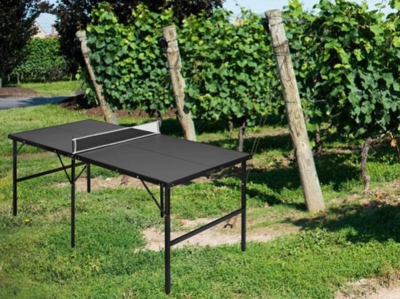 Ping Pong (Table Tennis)
