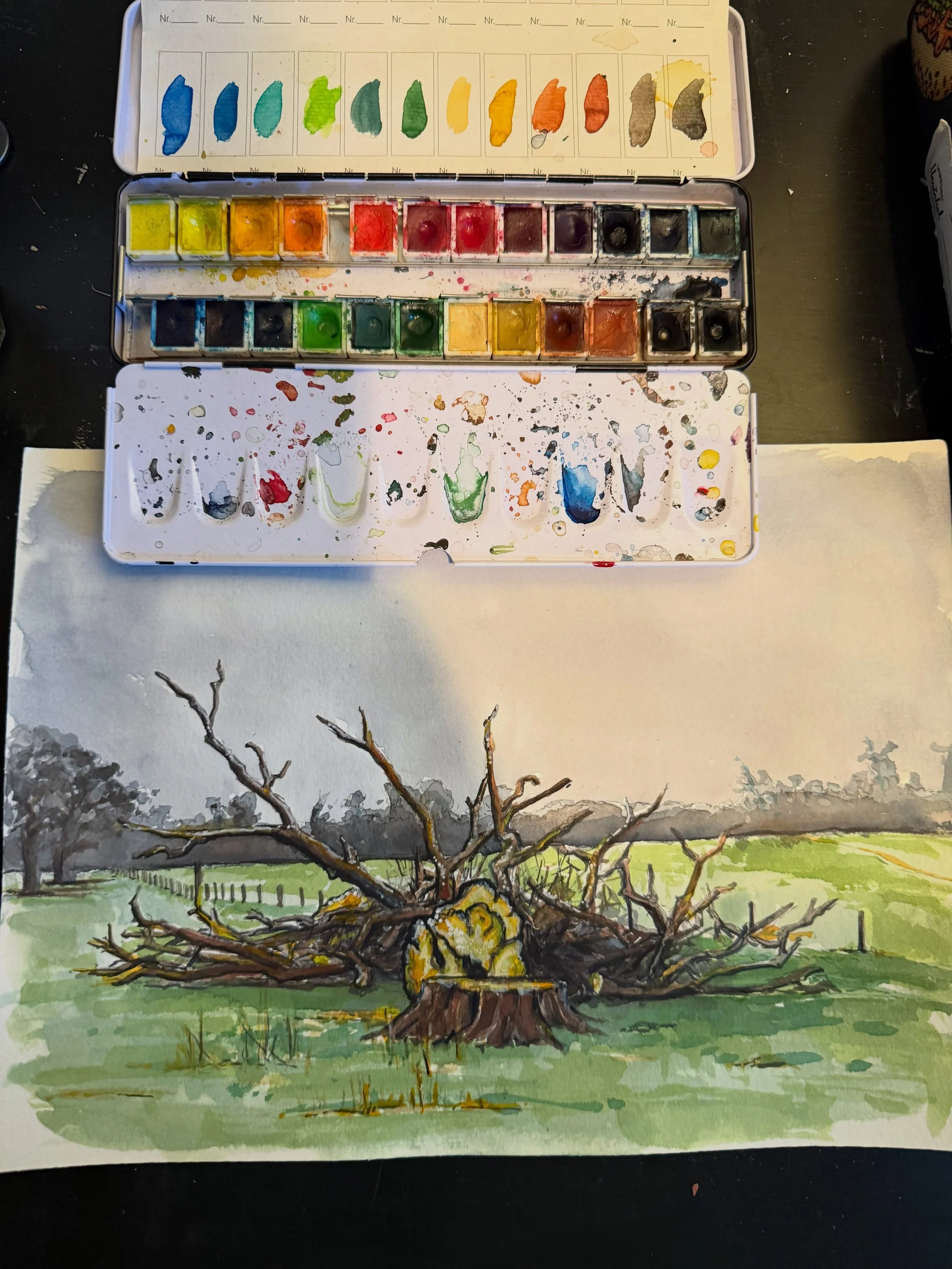 #wip big ole tree fell down