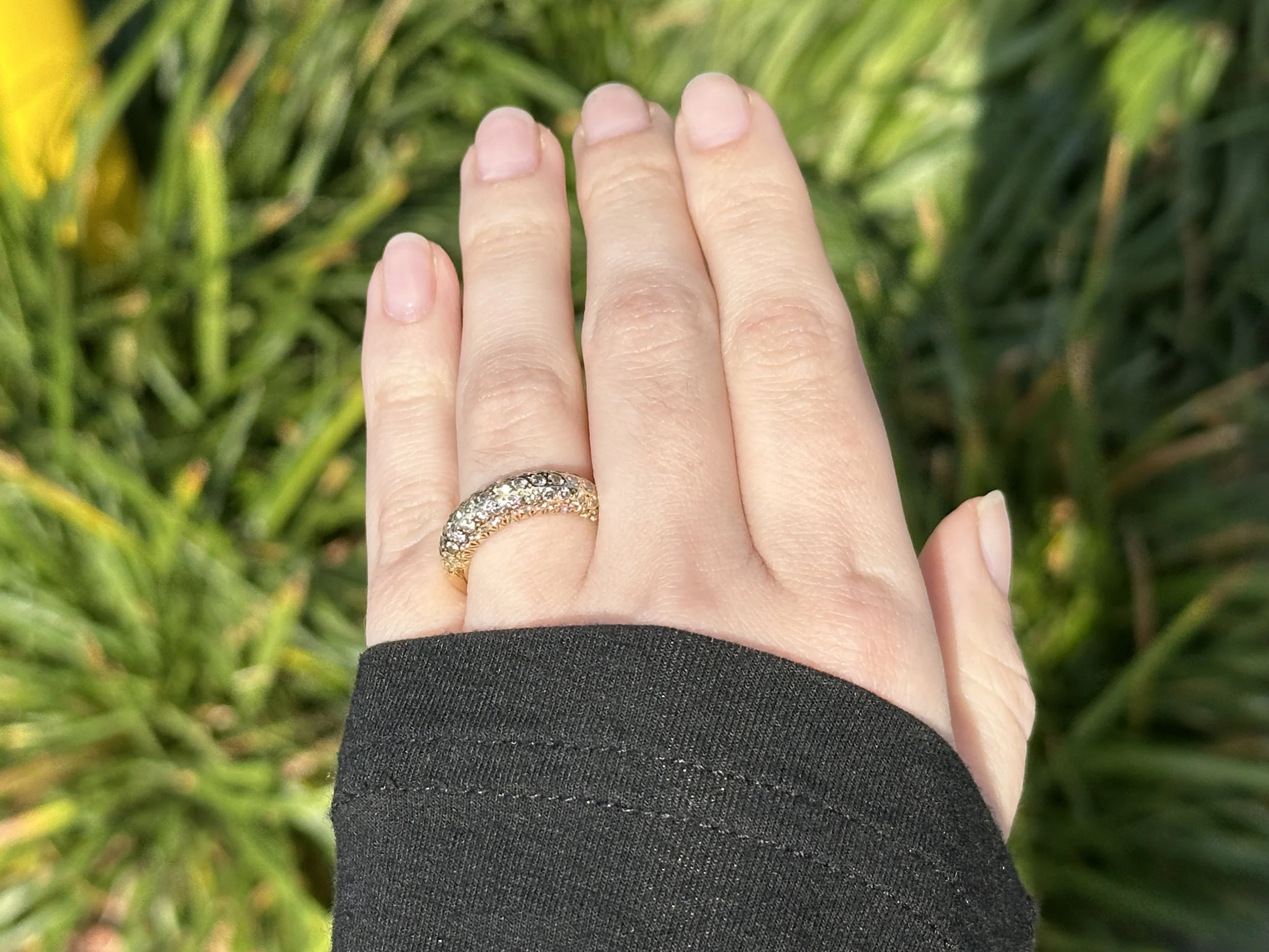 A person's left hand with a gold ring encrusted with diamonds on the ring finger, against a background of green grass.