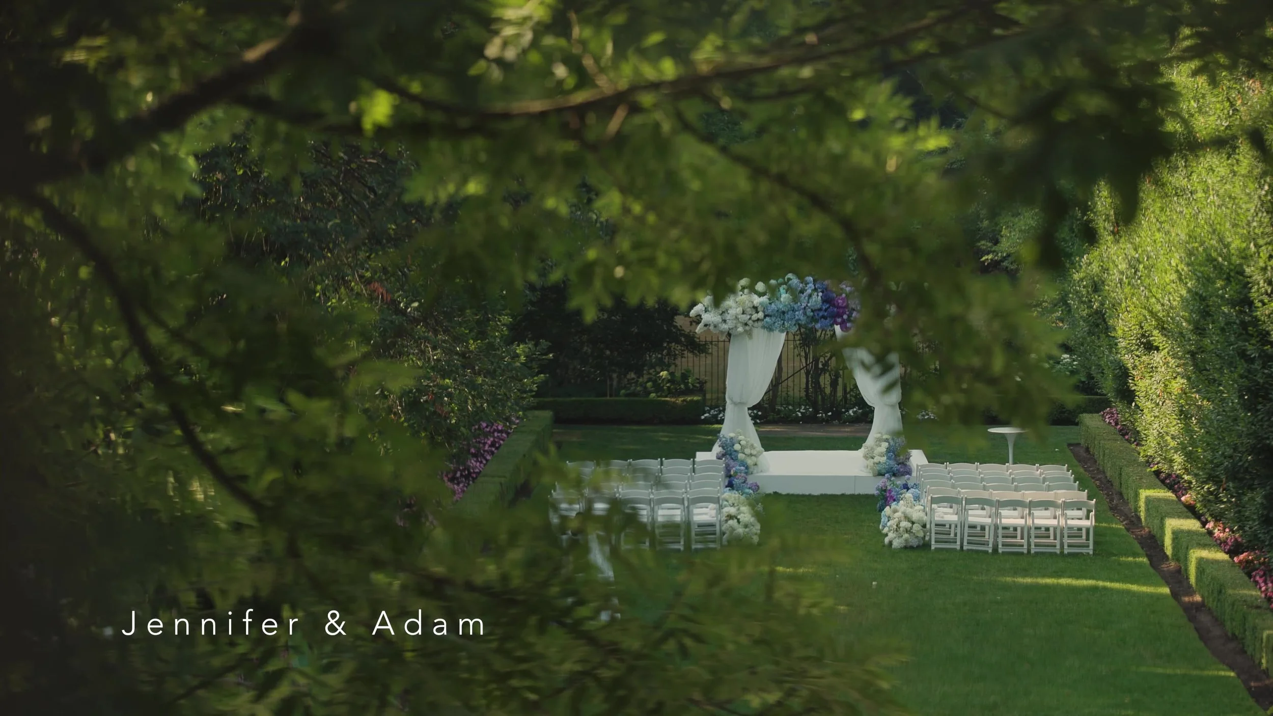 frame_242.jpg