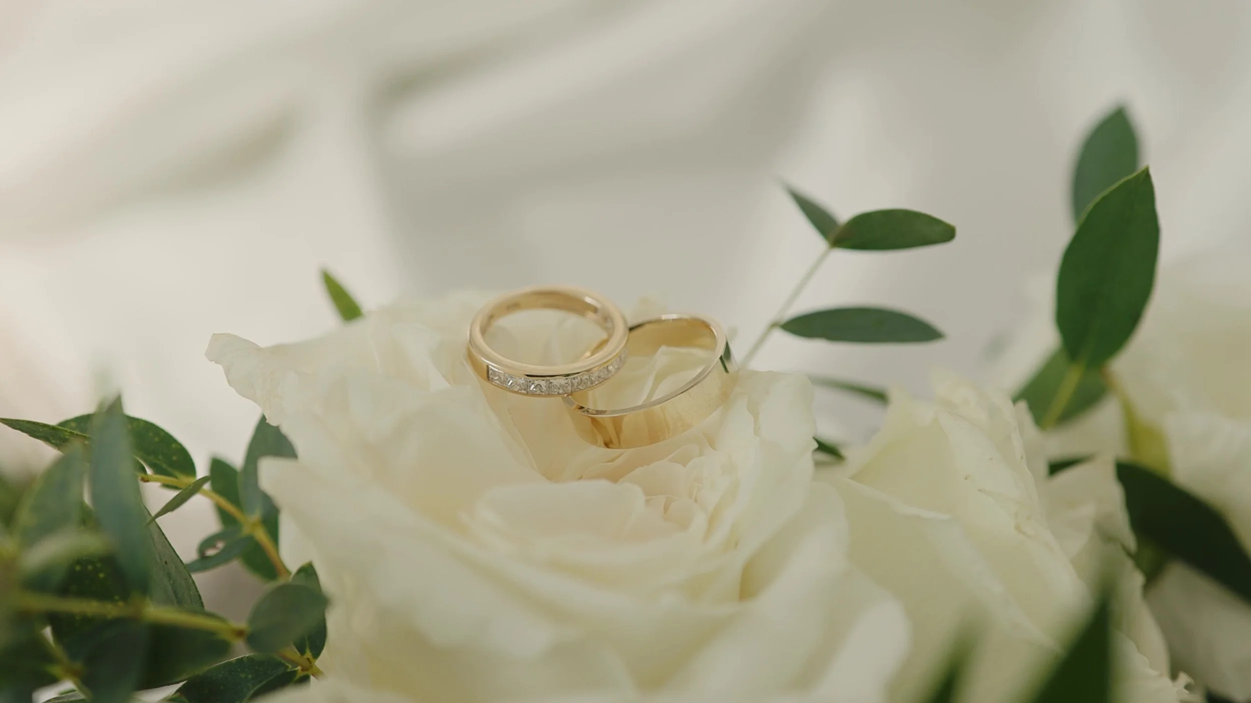 frame_1536.jpg