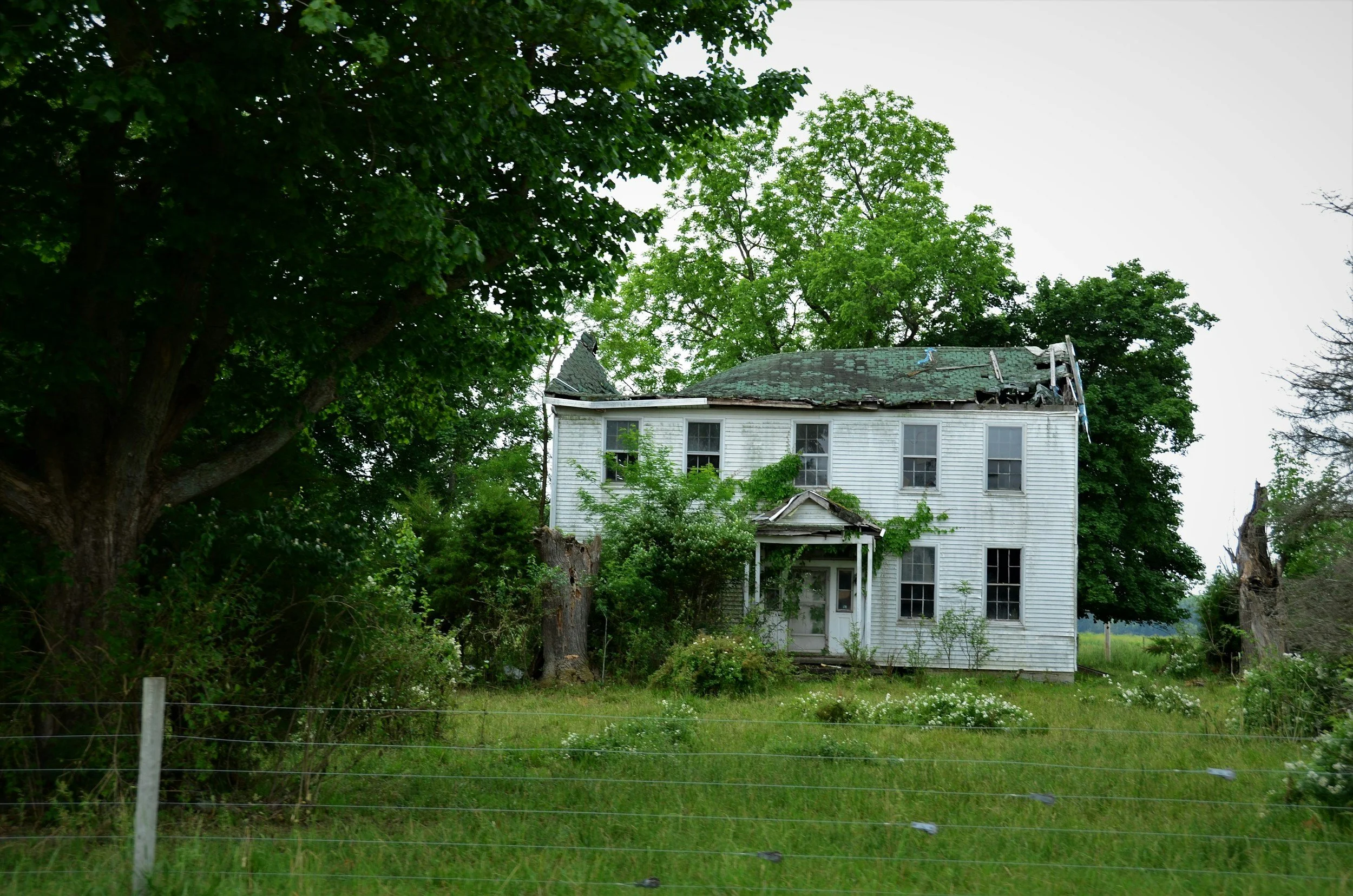 An old, abandoned house with broken roof and overgrown yard, surrounded by trees and overgrown grass.