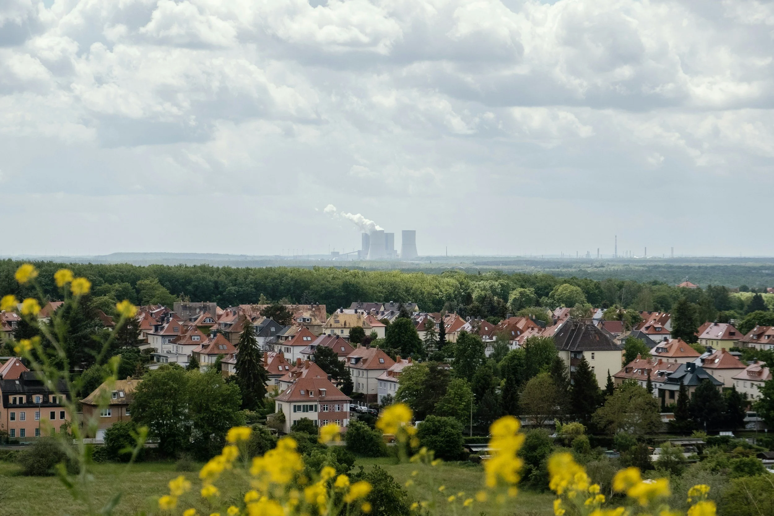Residential neighborhood with trees and yellow flowers in foreground, distant industrial buildings with cooling towers emitting steam, under a cloudy sky.