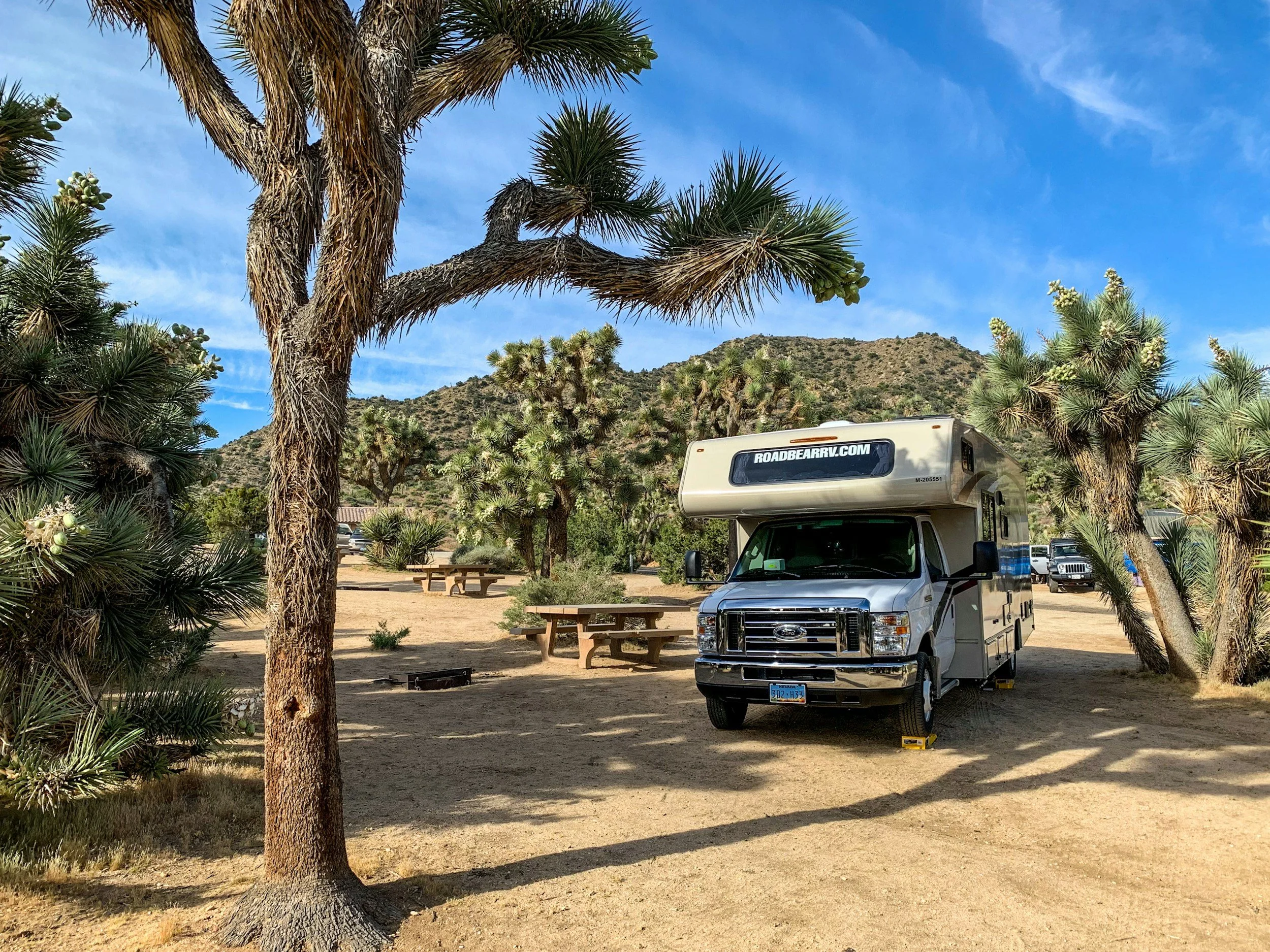 A campervan parked under Joshua trees in a desert landscape with mountains in the background and a blue sky with wispy clouds.