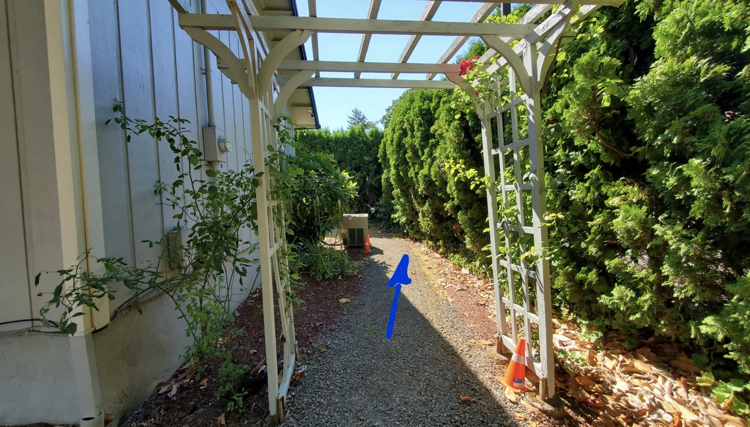 A white garden archway with a gravel path leading into a backyard, bordered by greenery and hedges, with traffic cones and an outdoor air conditioning unit visible in the background.