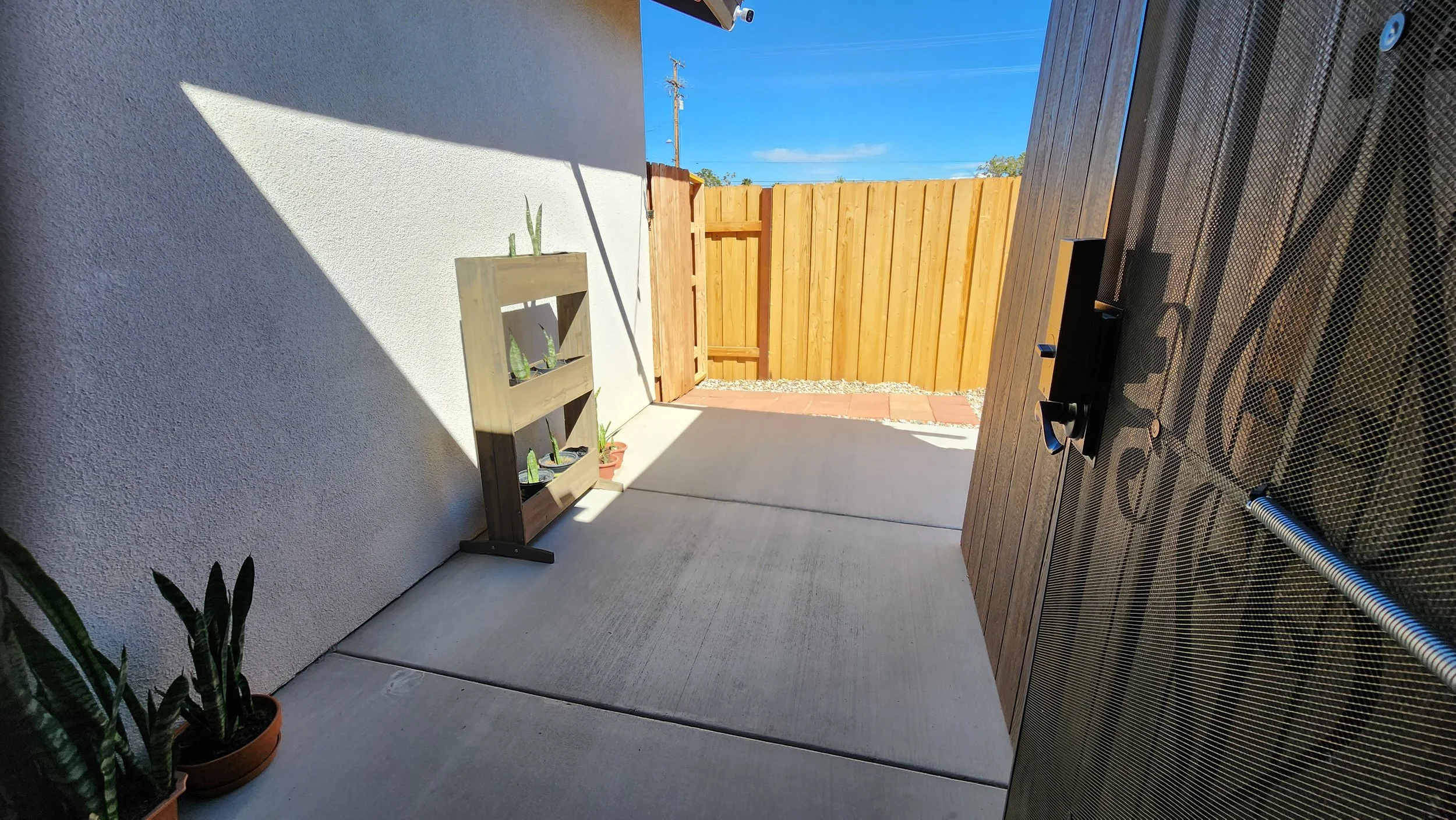 View of a backyard patio area with a wooden trellis holding potted cacti, a small potted plant on the ground, a wooden fence, and a closed black screen door. Bright sunlight casting shadows.