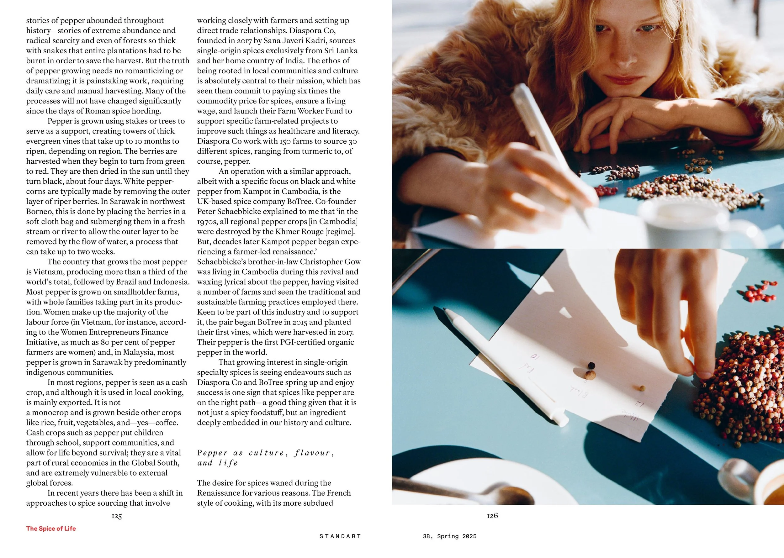 SW38 The Spice of Life-images-2.jpg