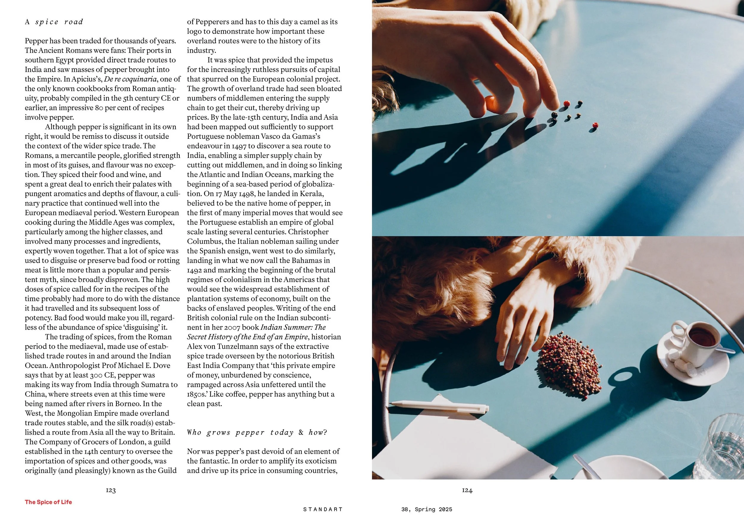 SW38 The Spice of Life-images-1.jpg