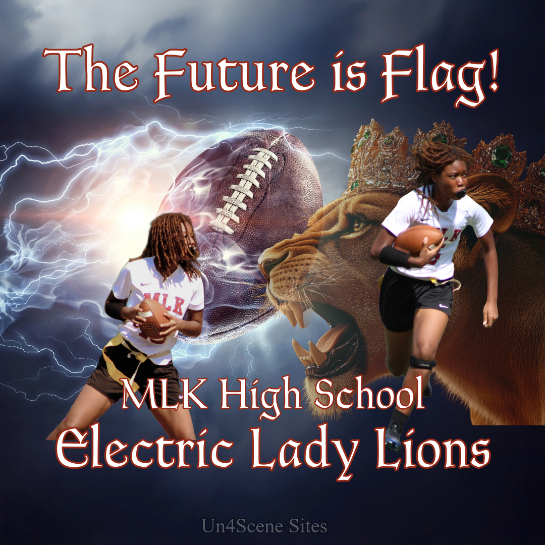 ZARA PORTFOLIO-8-LADY LIONS.png