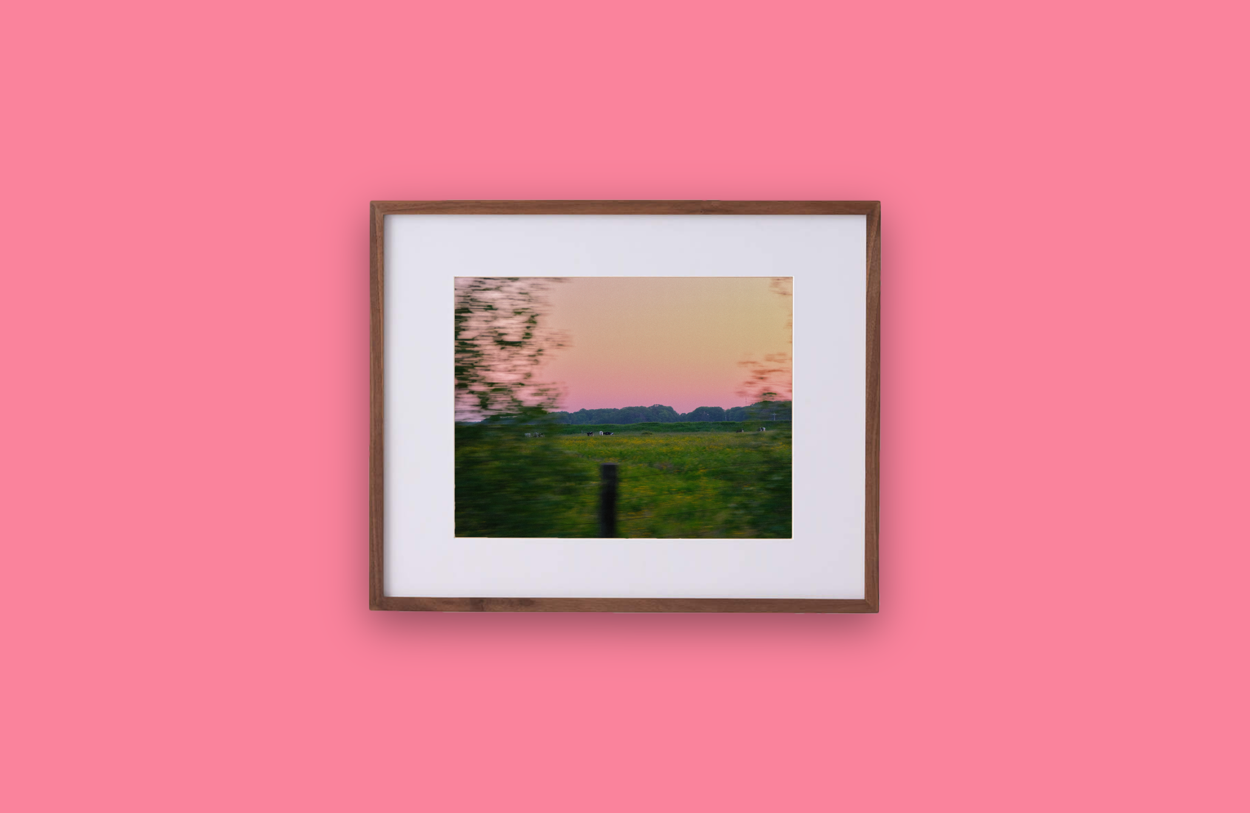 Pink Frame.png