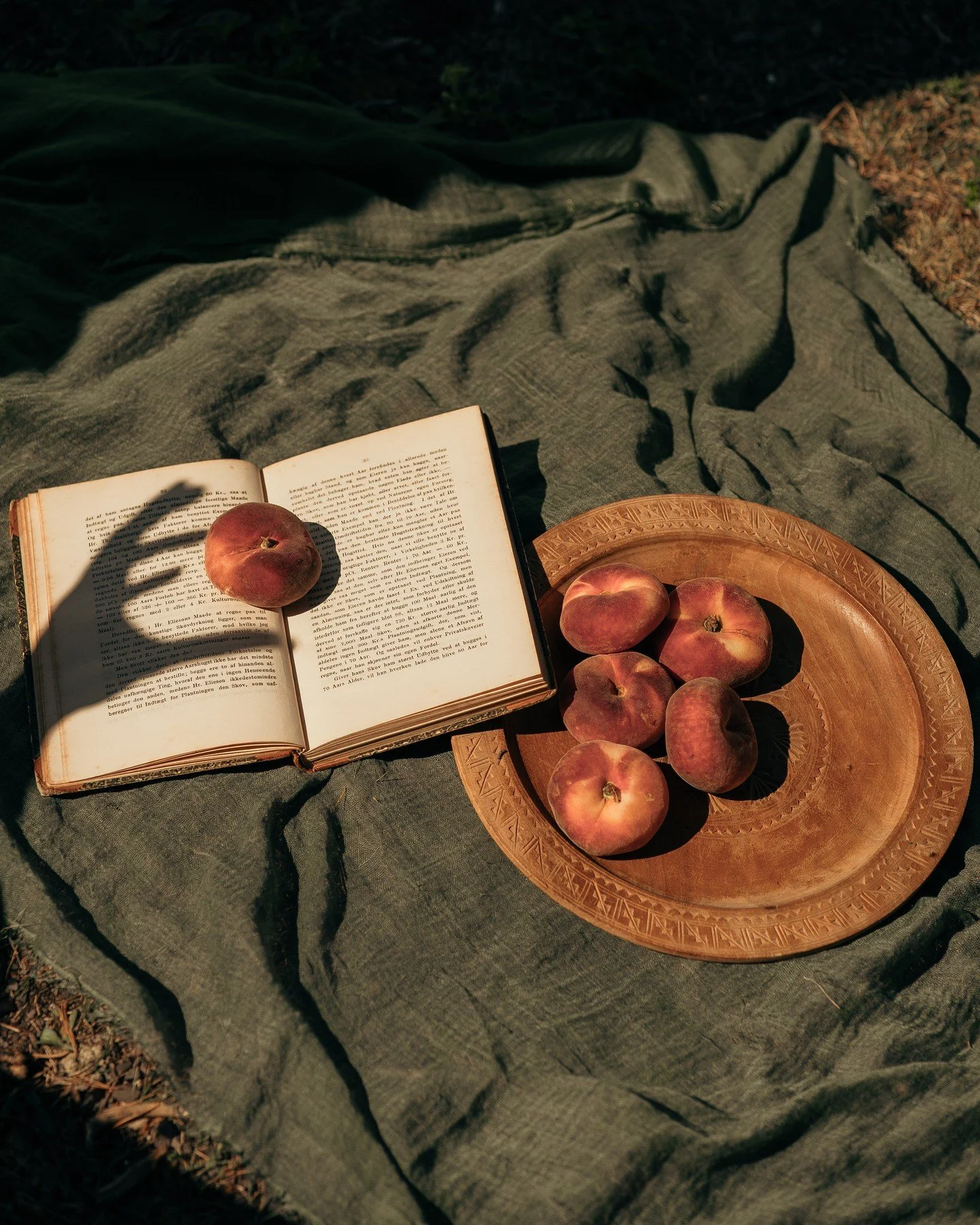 Peach-stained pages. Warm linen. That stretch of summer where time softens at the edges.⁠
⁠
No big plans, just the small, golden things: fruit shared under the trees, stories passed between naps, the hum of everything alive and slow.⁠
⁠
Here&rsquo;s 