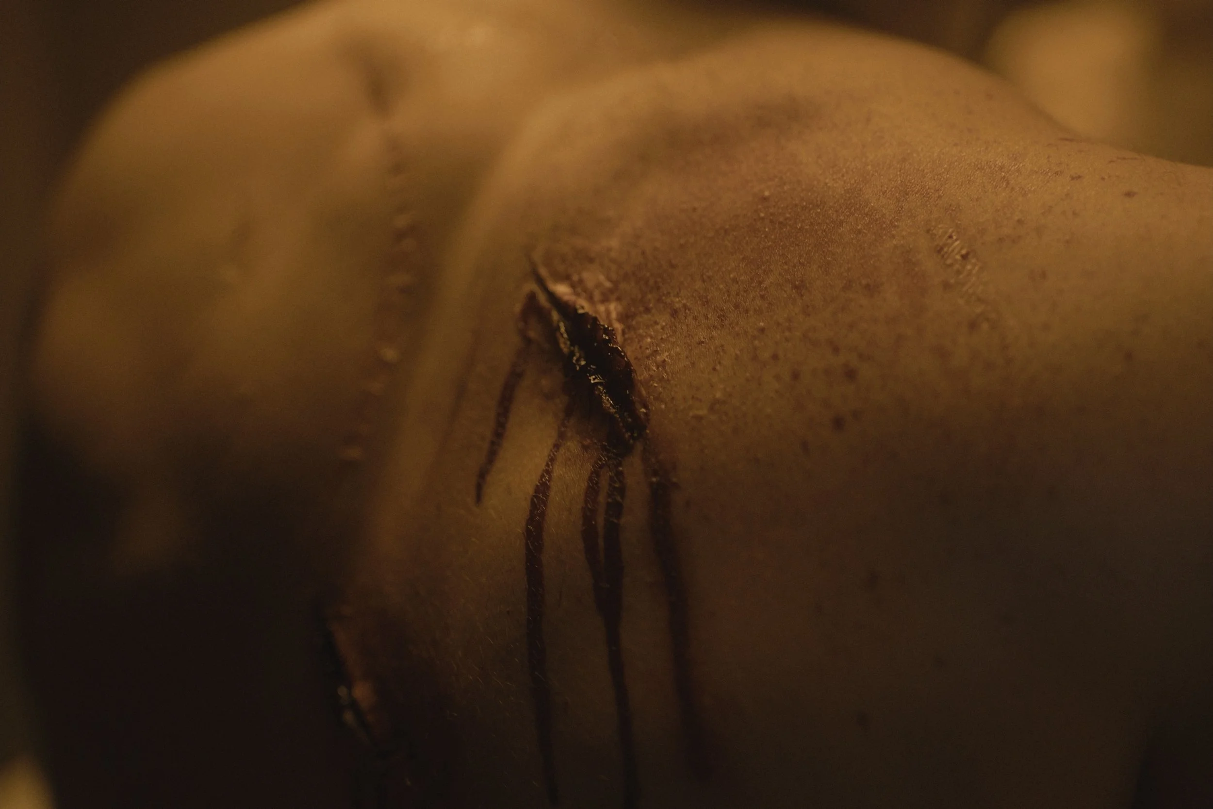 Close-up of a person's back with a spider crawling on their skin.