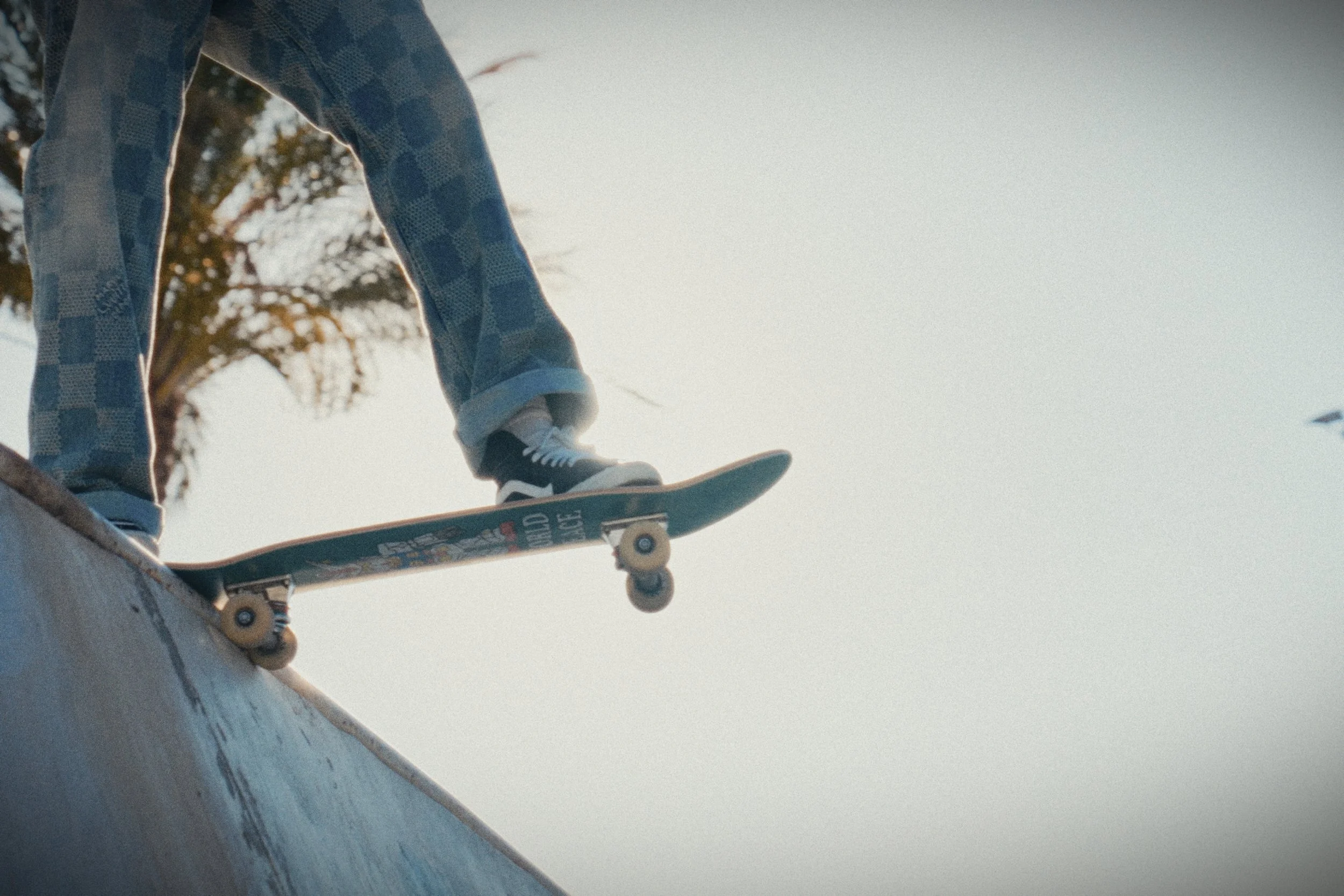 Skateboarder on a ramp with palm tree in background