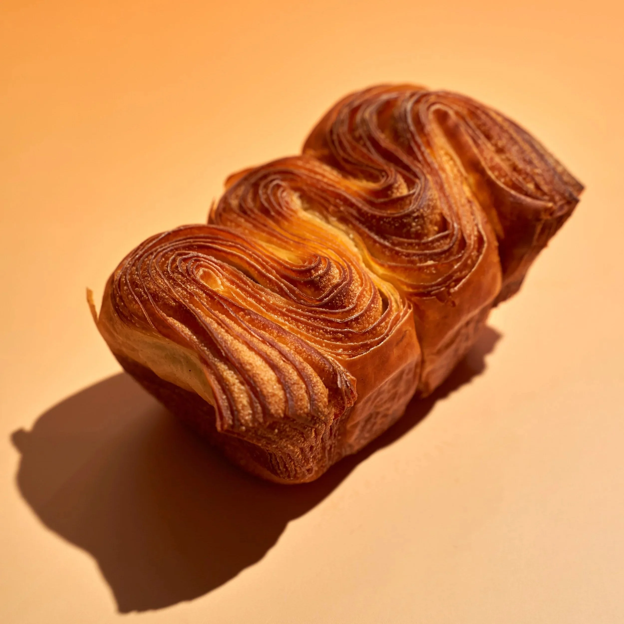 Flake_072026+5.jpg
