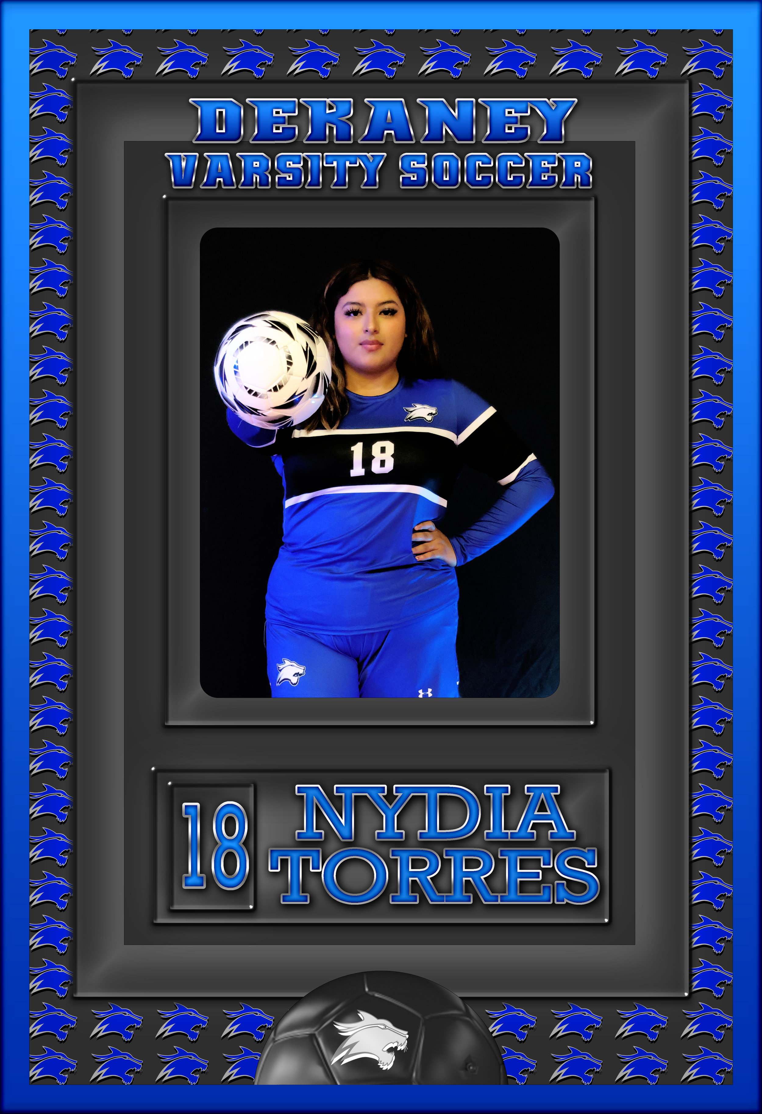 NYDIA TORRES BANNER - Copy.png
