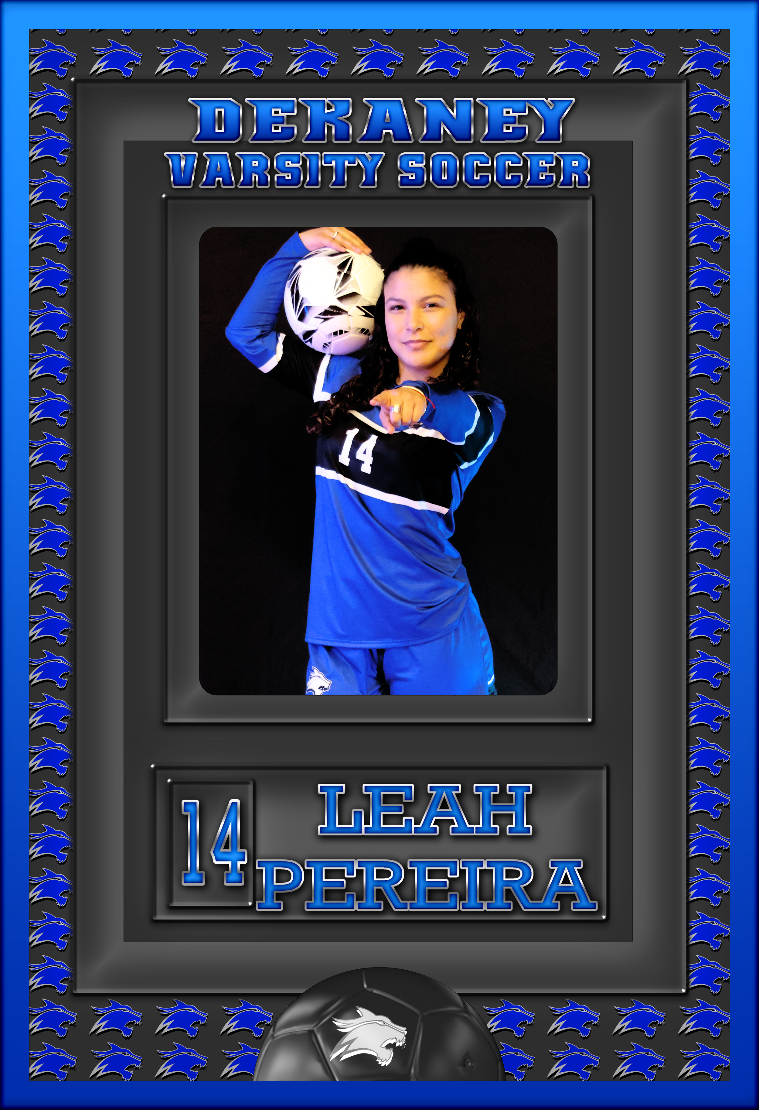 LEAH PEREIRA BANNER - Copy.png