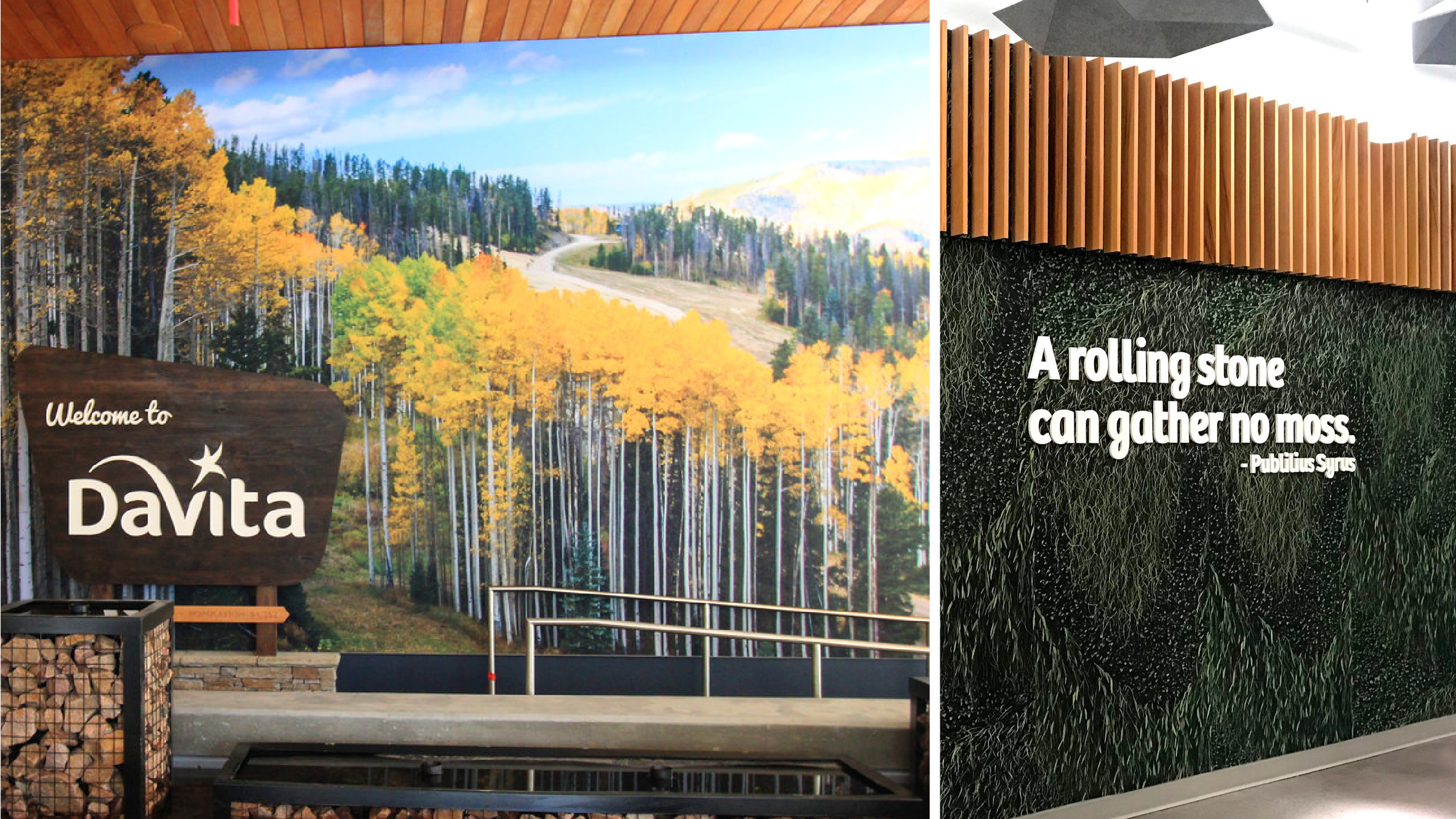 DaVita Portfolio Images-02.png