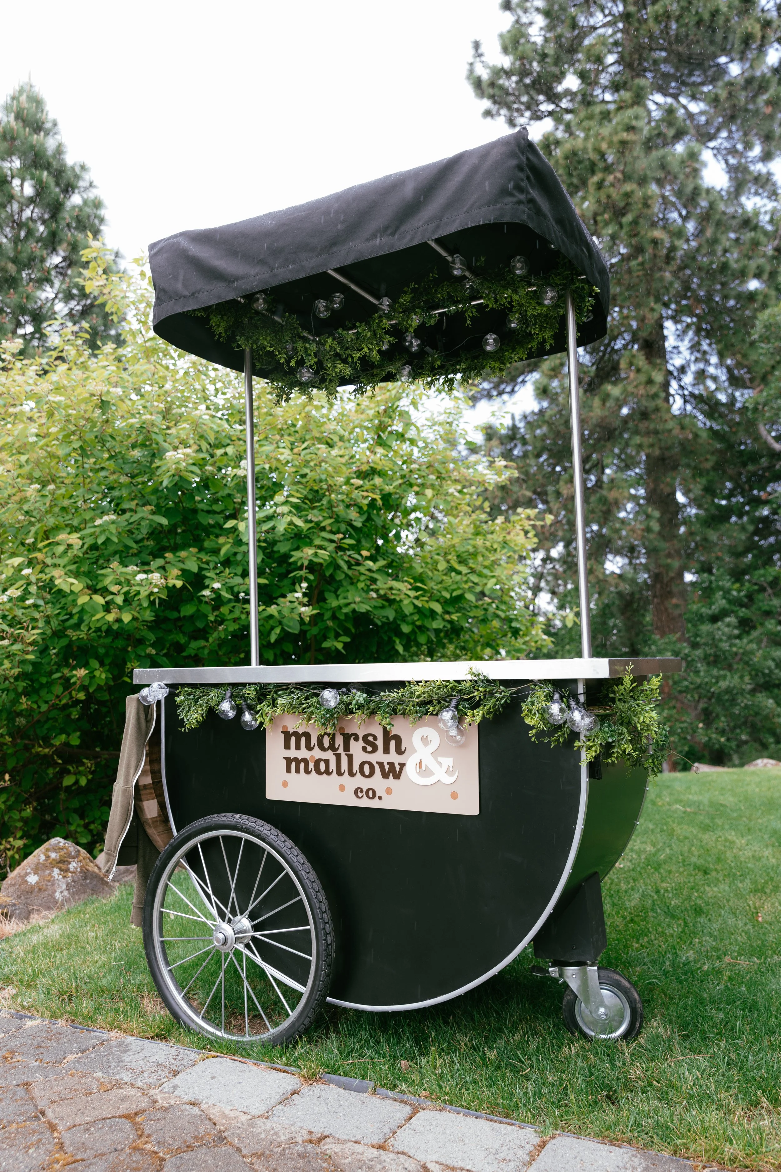 A black marshmallow cart with a canopy, decorated with string lights and green foliage, displaying the sign 'marsh mallow & co.' on a grassy area with trees in the background.