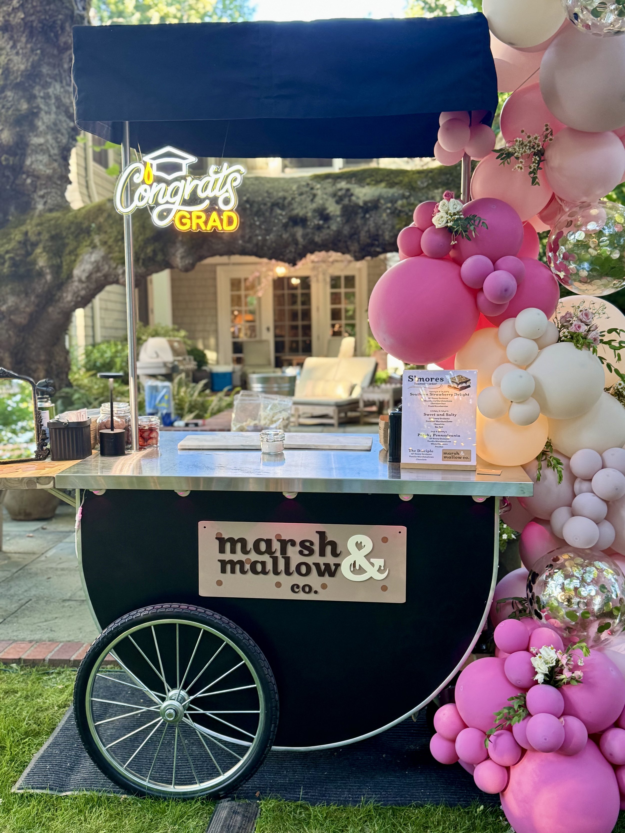 Balloon installation, custom colors - $150