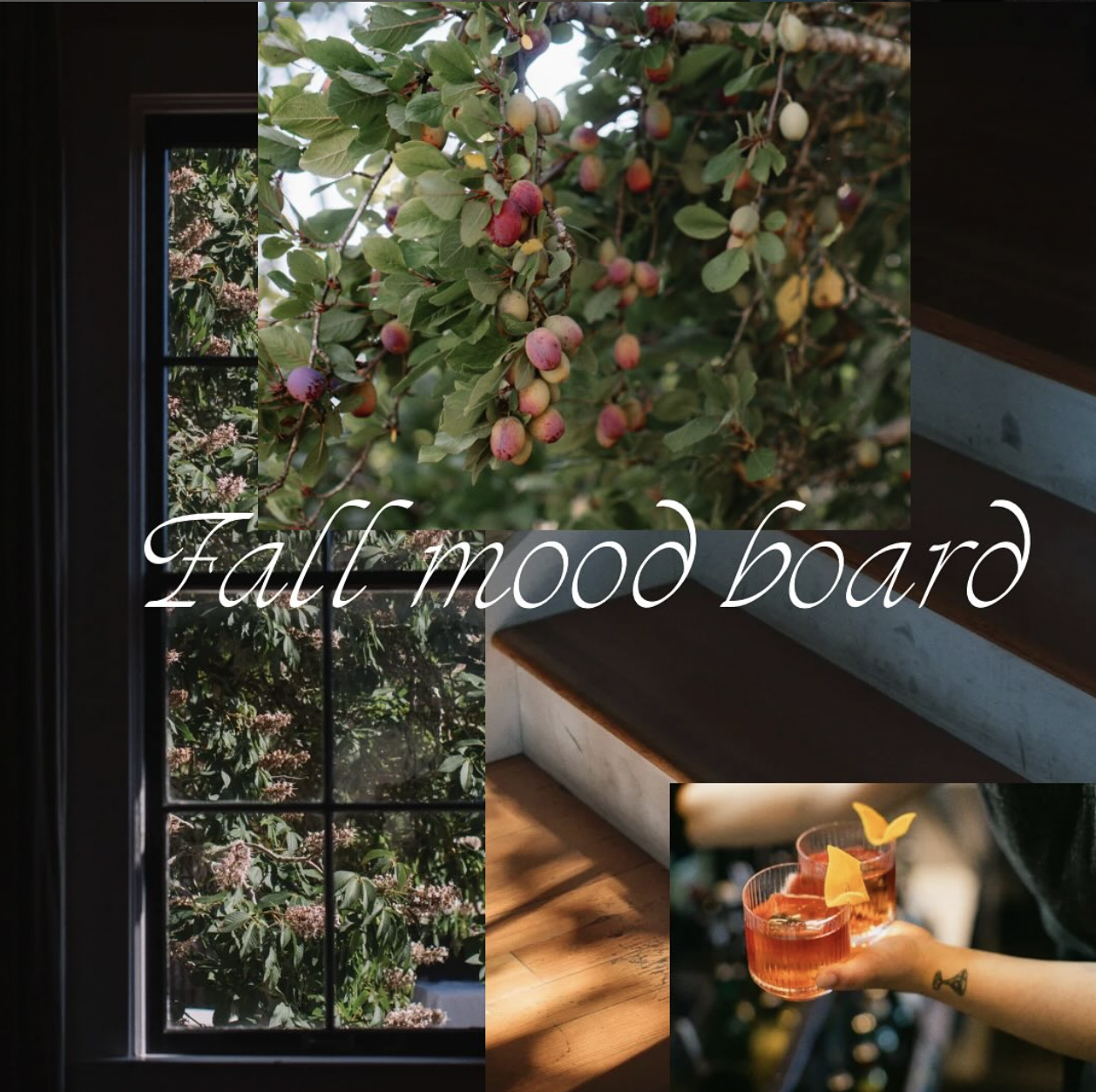 Screen Shot 2025-11-22 at 11.14.10 AM.png