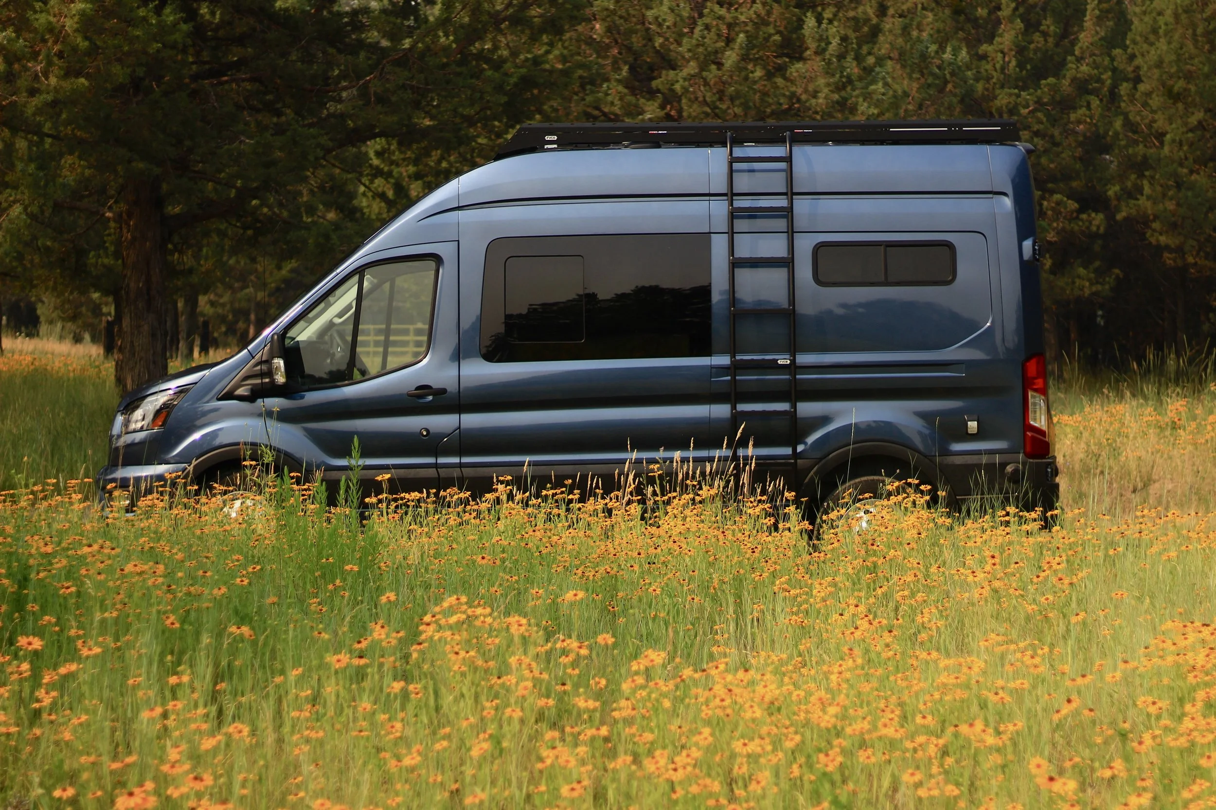 A blue camper van parked in a field with yellow wildflowers and tall green grass, surrounded by trees.