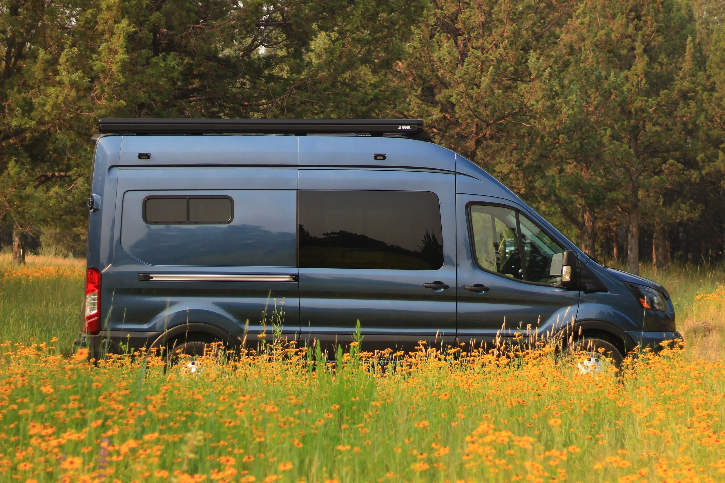 A blue camper van parked in a field of yellow wildflowers with green grass, surrounded by tall green trees.