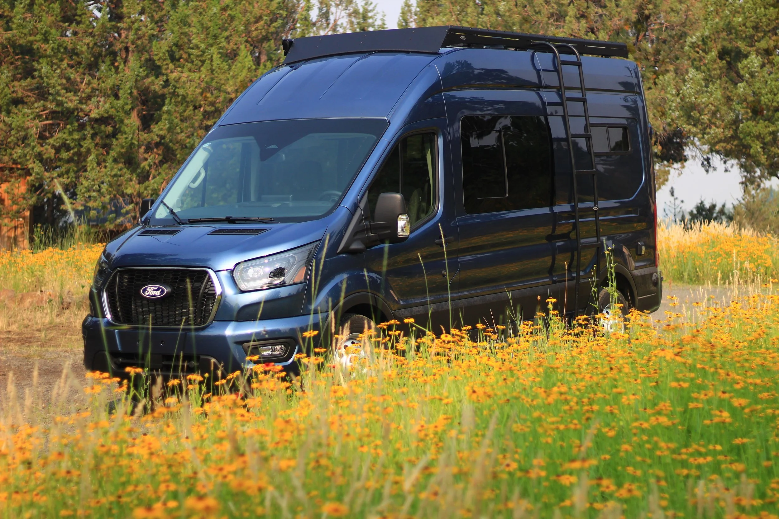 A dark blue Ford van parked in a field of yellow flowers with a background of green trees under a clear sky.
