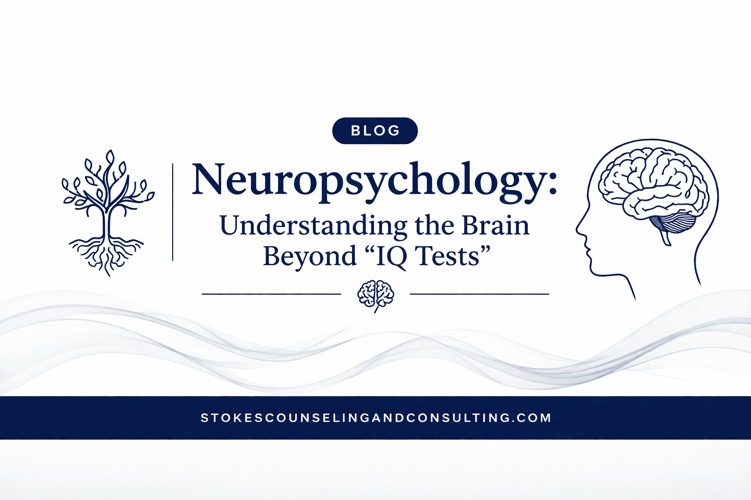 Neuropsychology: Understanding the Brain Beyond “IQ Tests”