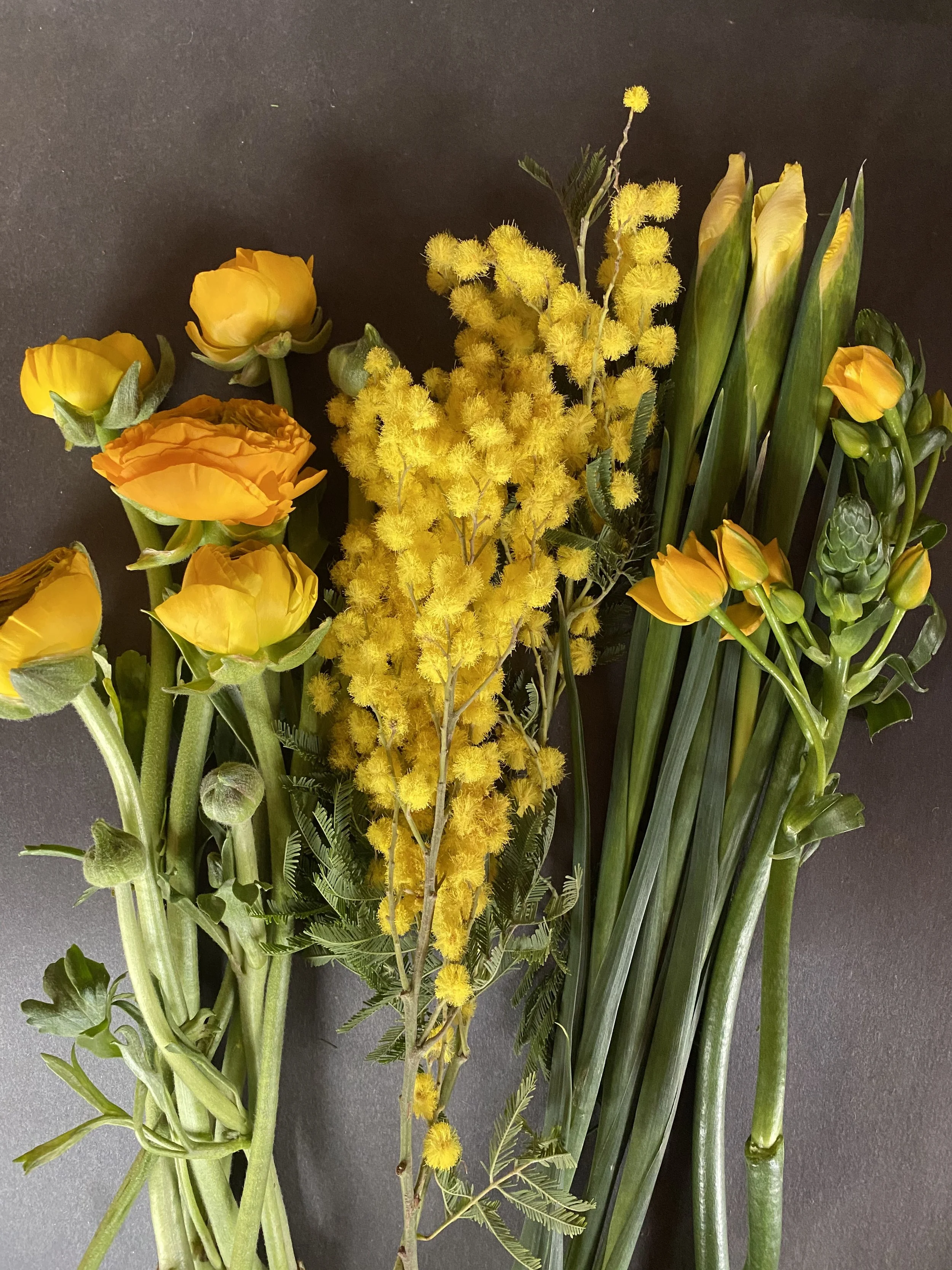 International Women's Day Specials