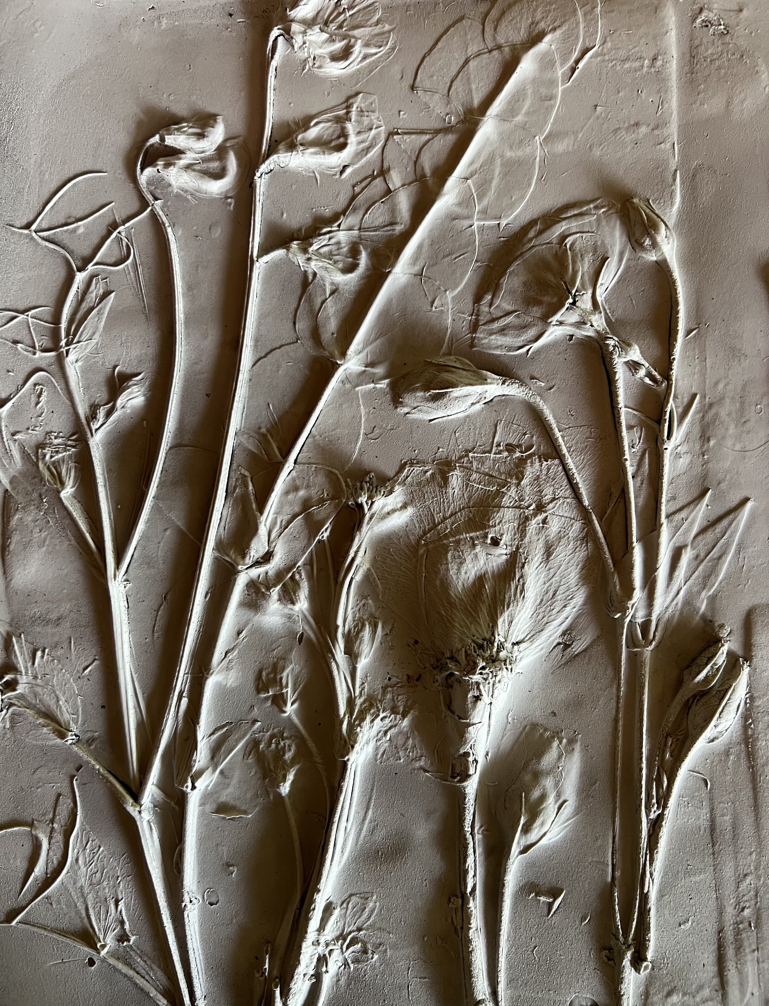 Botanical Plaster Casting