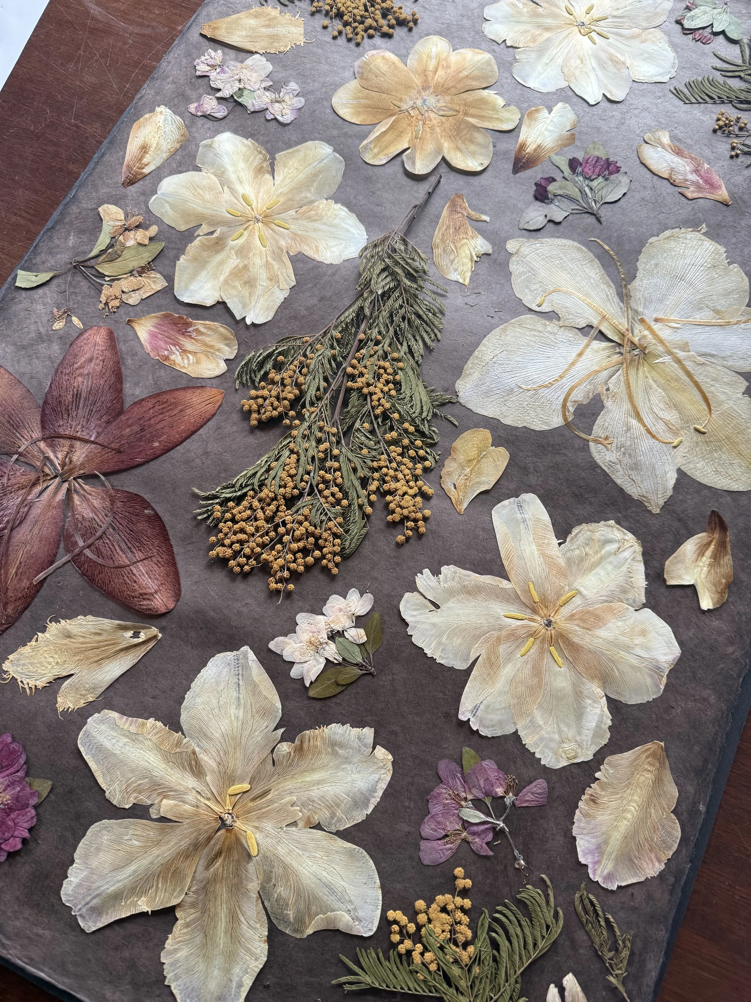 Lilies & Mimosa Pressed Collage