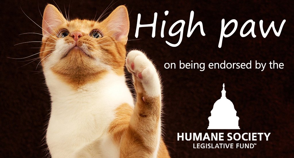 HSLF-endorsement-graphic .jpg