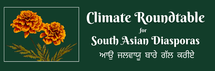 Climate Roundtable for South Asian Diasporas