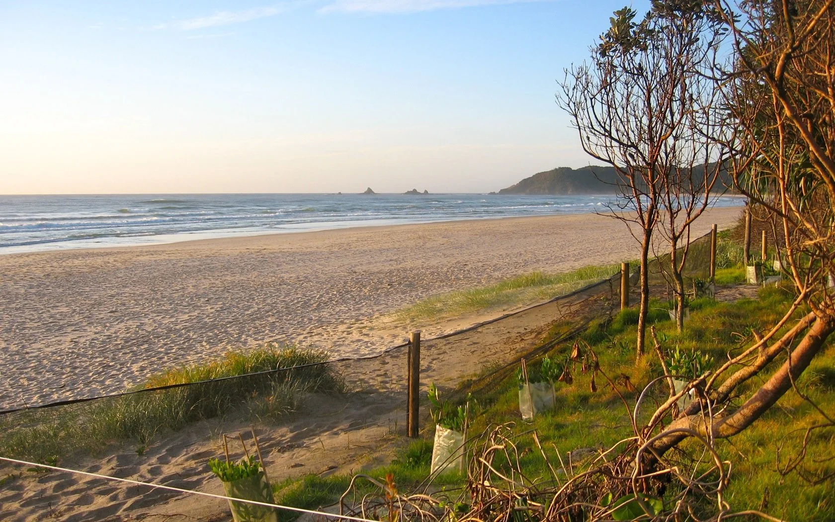 Suffolk Park | SA1 micro market analysis | Melanie Bosward