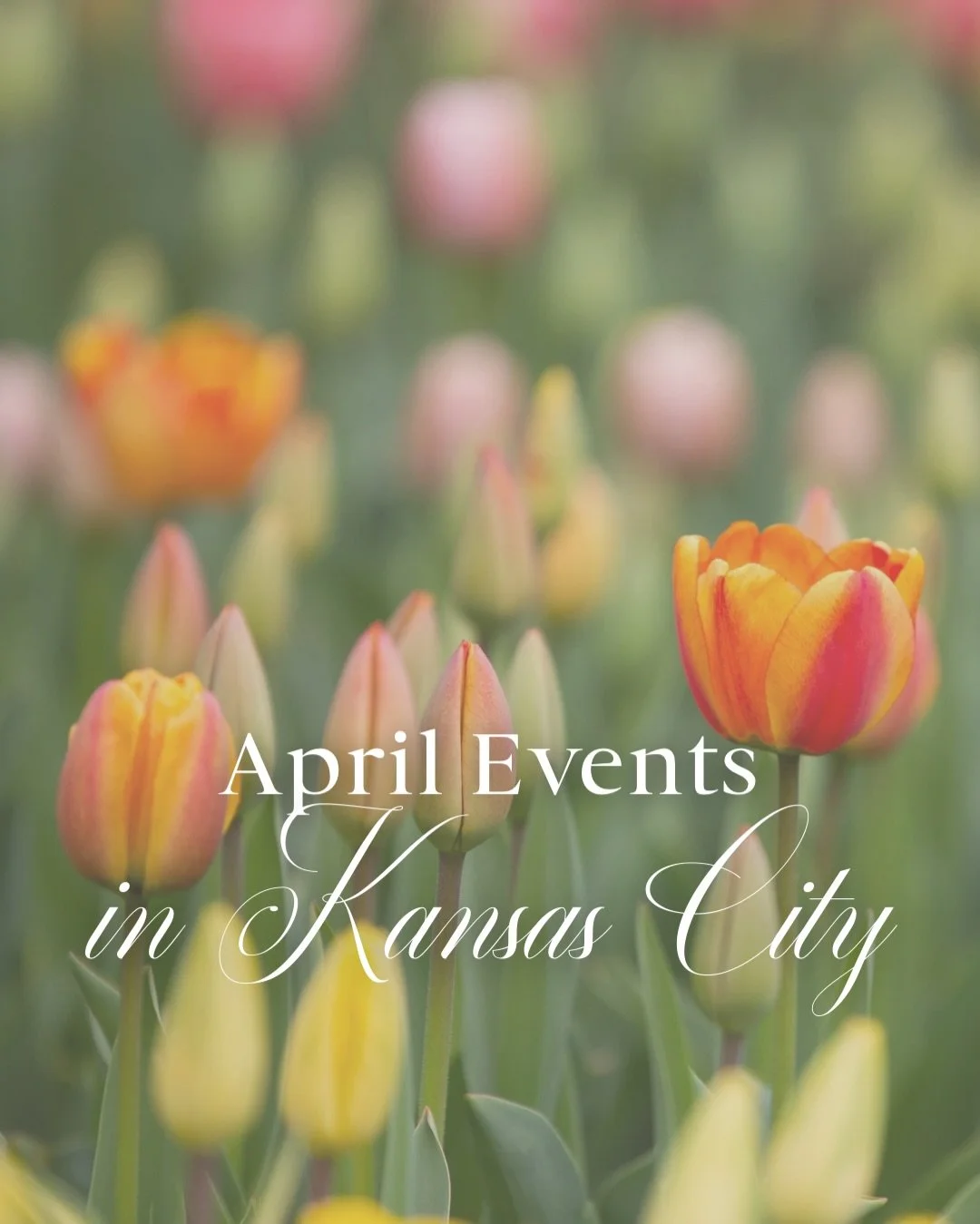 If you are thinking about moving to Kansas City, this is exactly the kind of month that reminds people why life here feels so special.

April in Kansas City is filled with the kind of local moments that make a city feel like home &mdash; from spring 