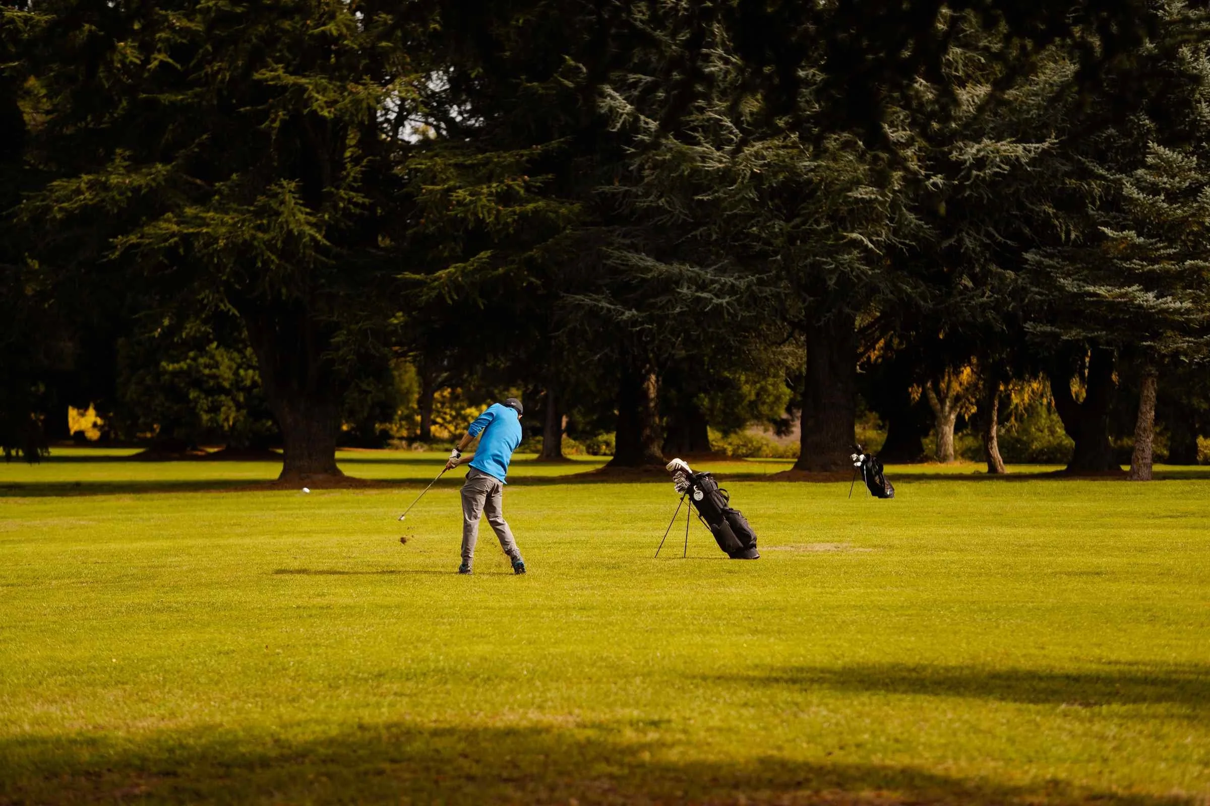 Golfer in a blue shirt swinging on a sunlit fairway lined with tall evergreens in a private golf community.