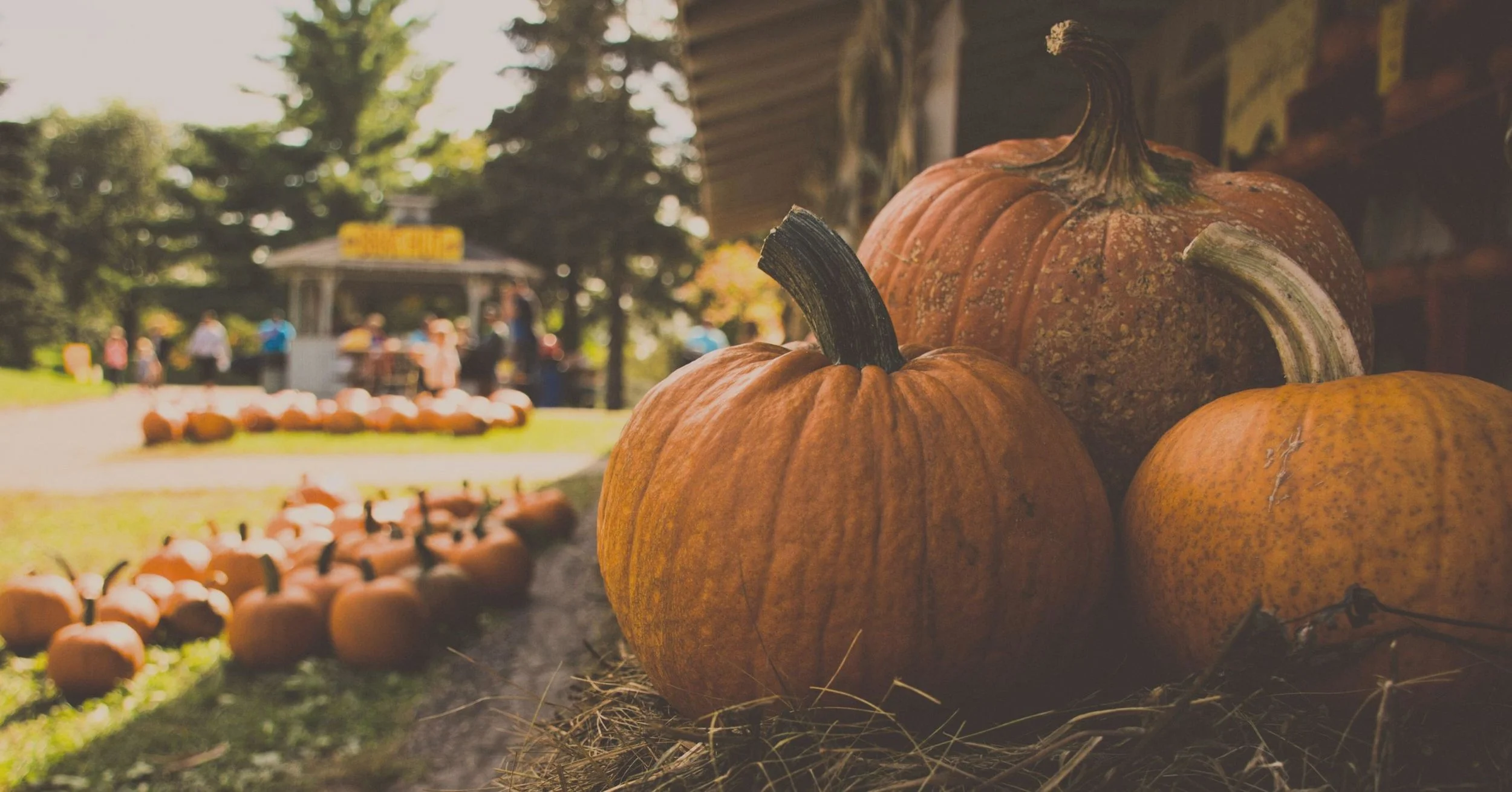 Fall Activities in Kansas City You Won’t Want to Miss