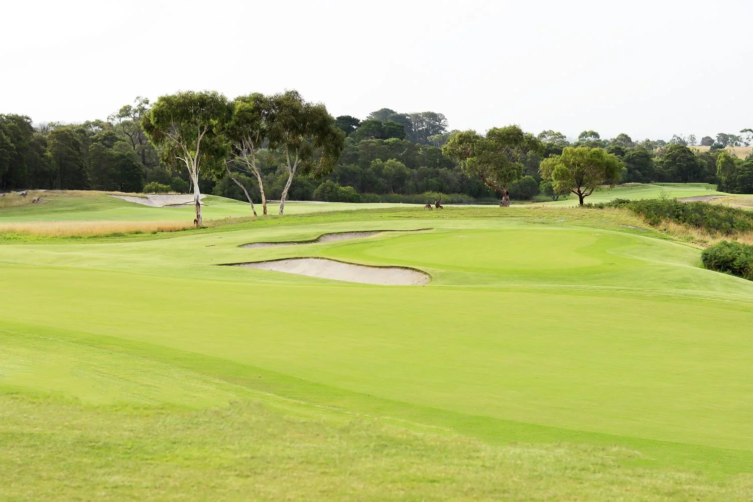 Scenic fairway and sand bunkers at Kansas City Country Club, one of the most prestigious golf courses in the area.