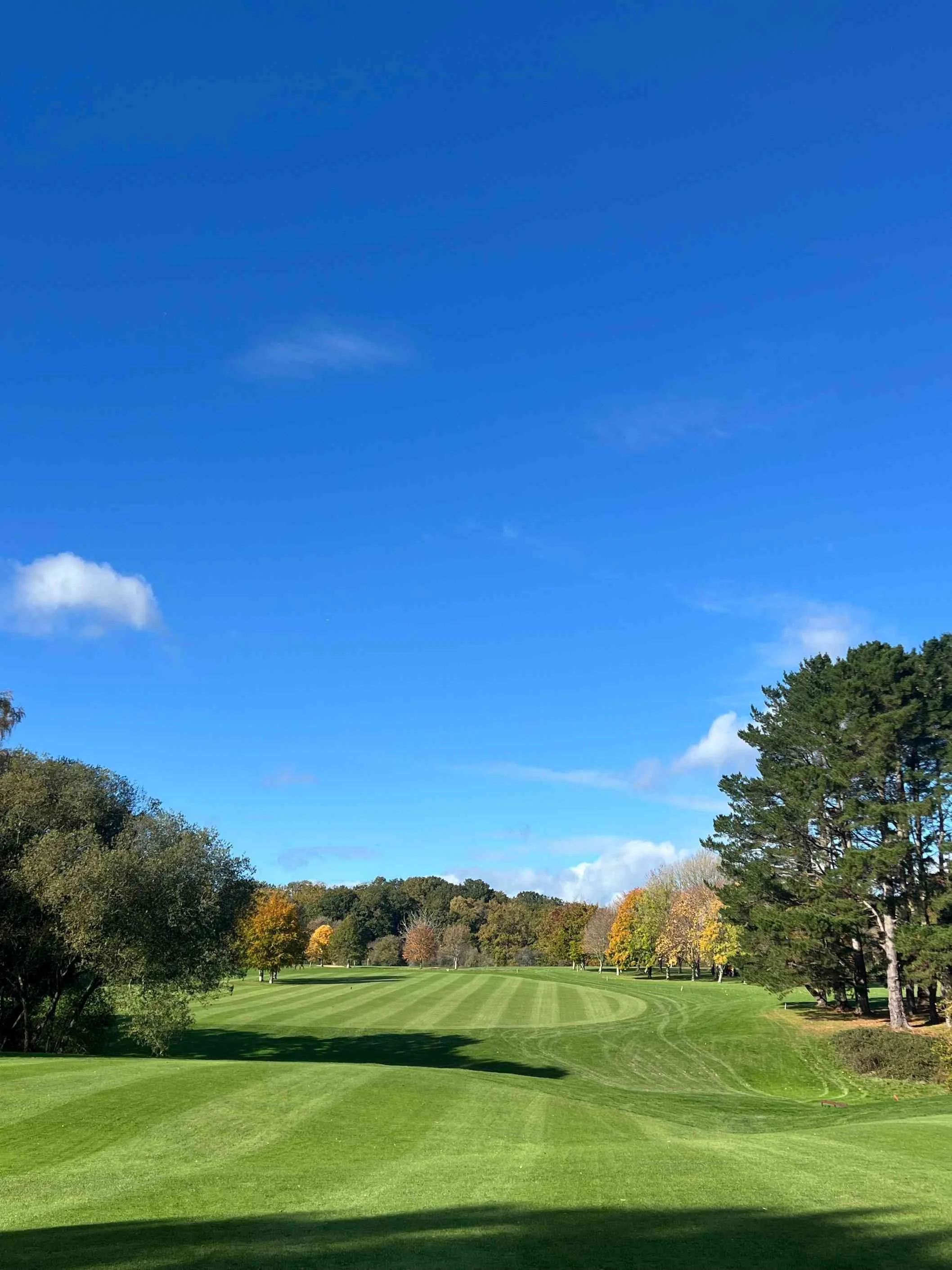 Striped fairway and colorful fall trees under a bright blue sky at a private golf course.