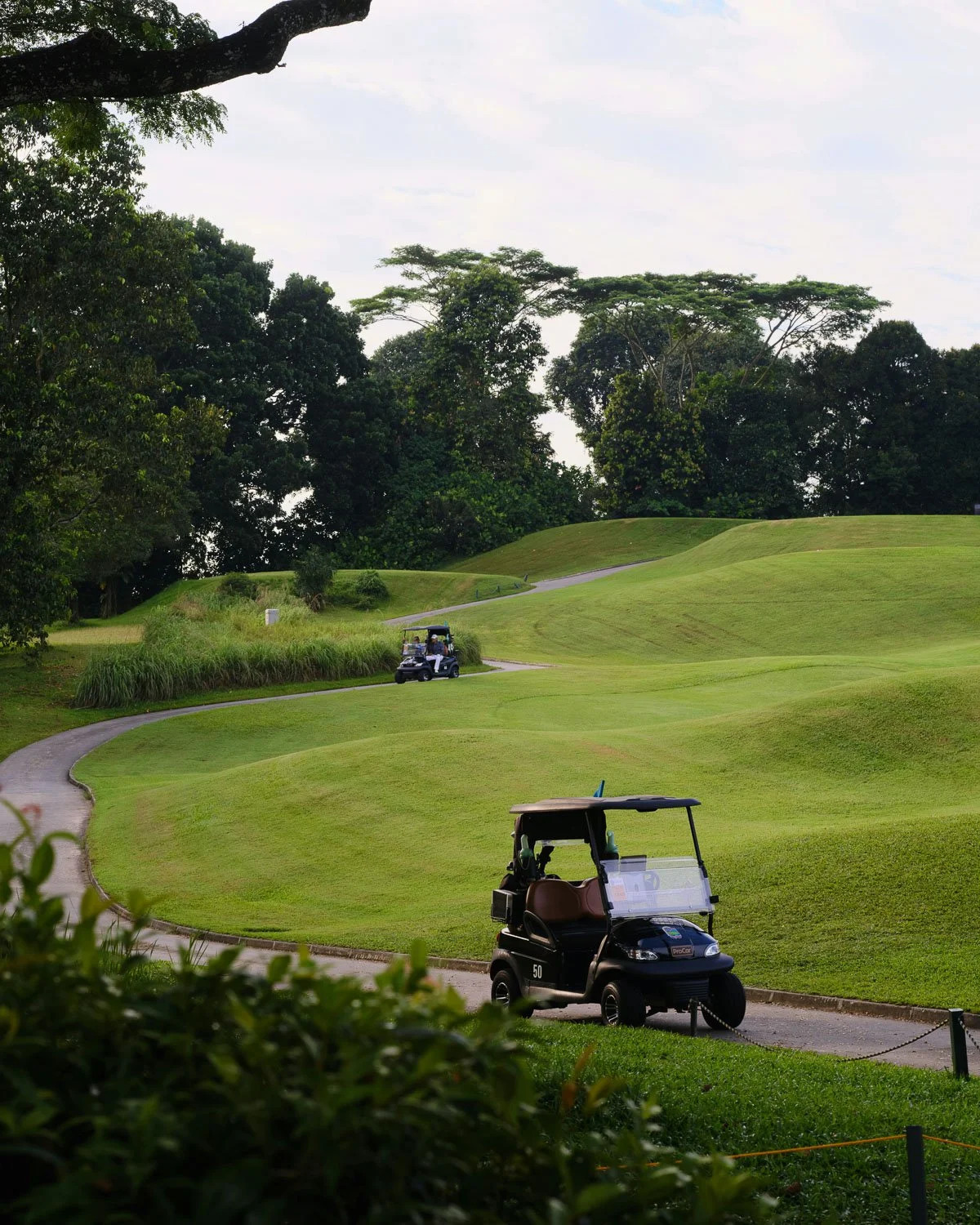 Golf cart on a scenic fairway in a private golf course community near Kansas City.