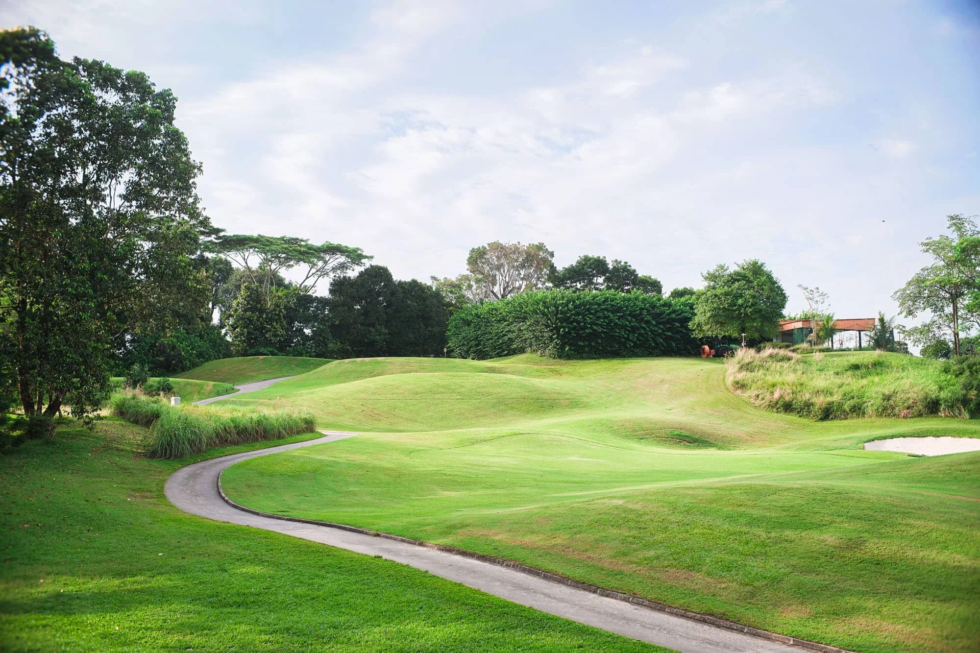 Manicured fairway winding through a golf course community near Kansas City with cart path and greenery.