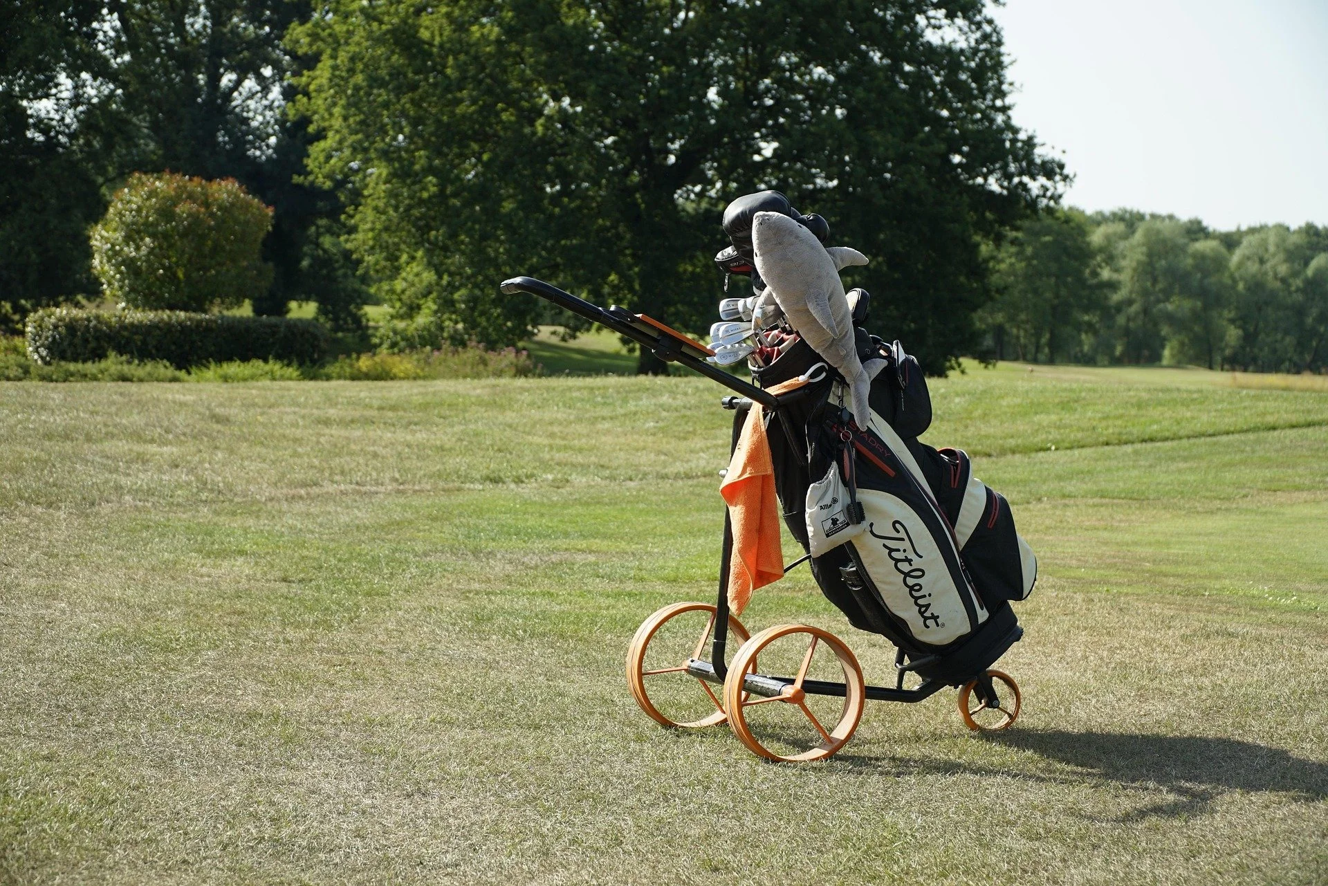 Golf bag and push cart on the fairway of a Missouri golf course.