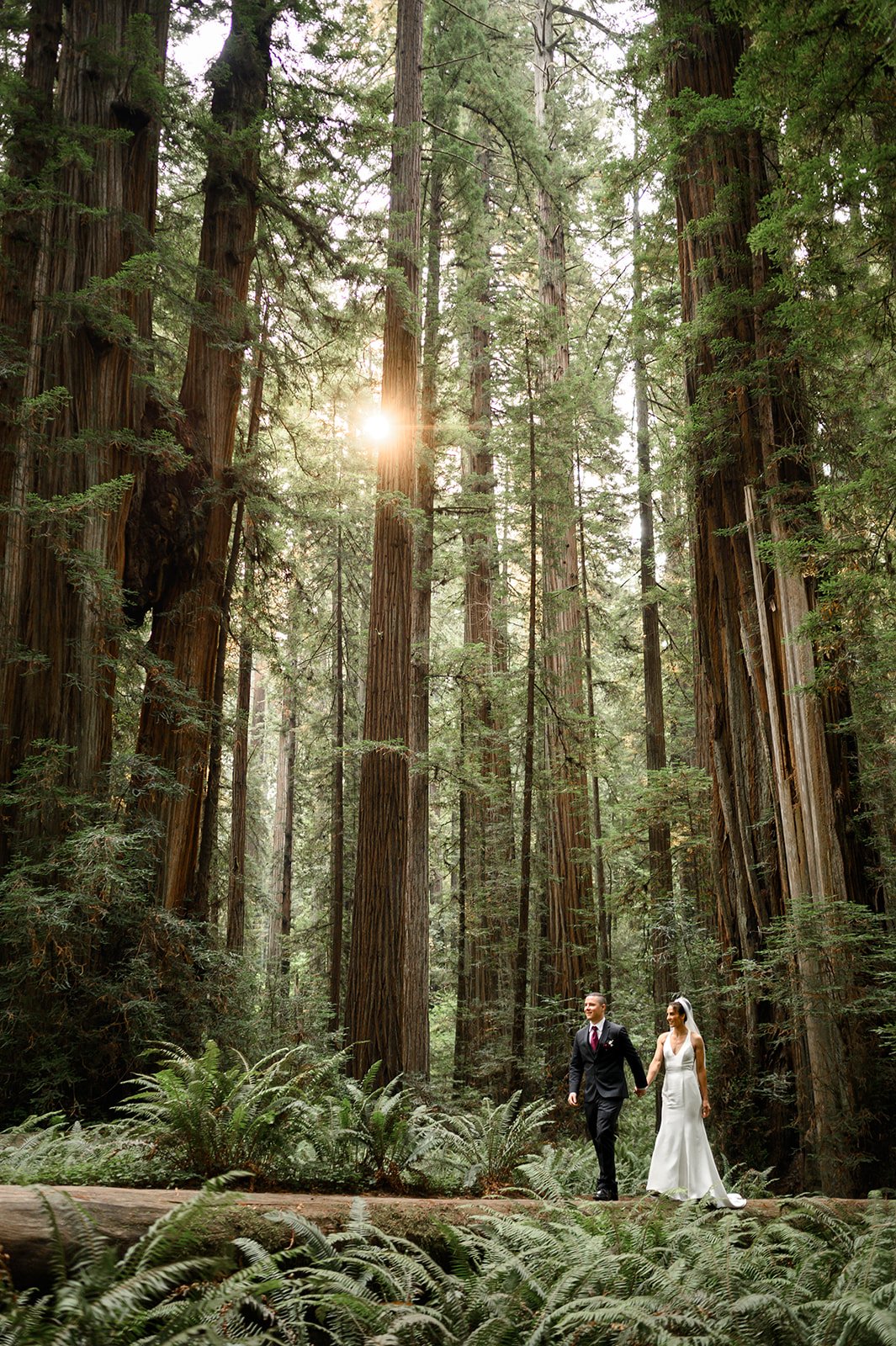 a bride and groom in Jedediah state park in the redwoods walking through the redwood forest