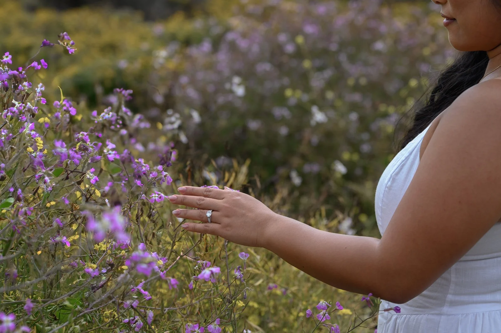 Engagement in Big Sur, CA