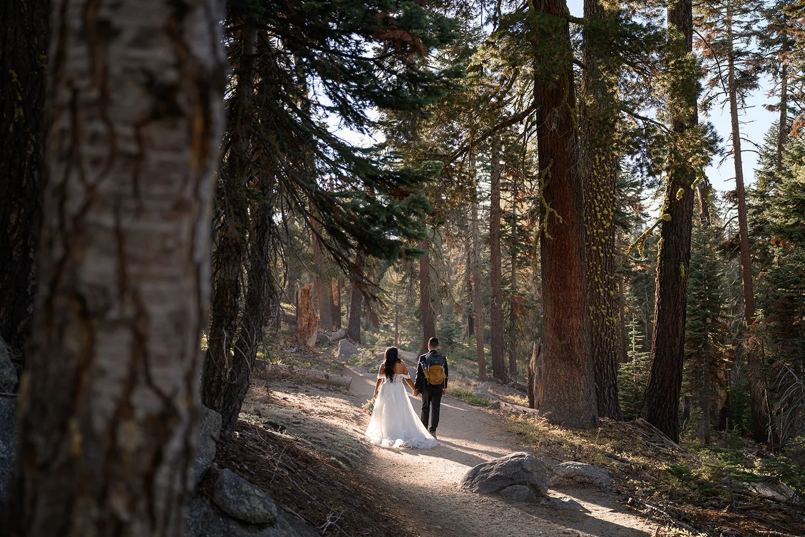 Yosemite National Park Elopement