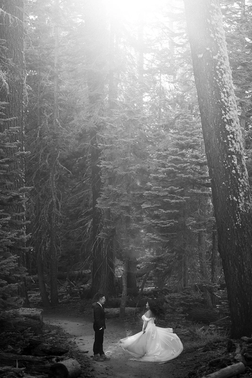 Yosemite National Park Elopement