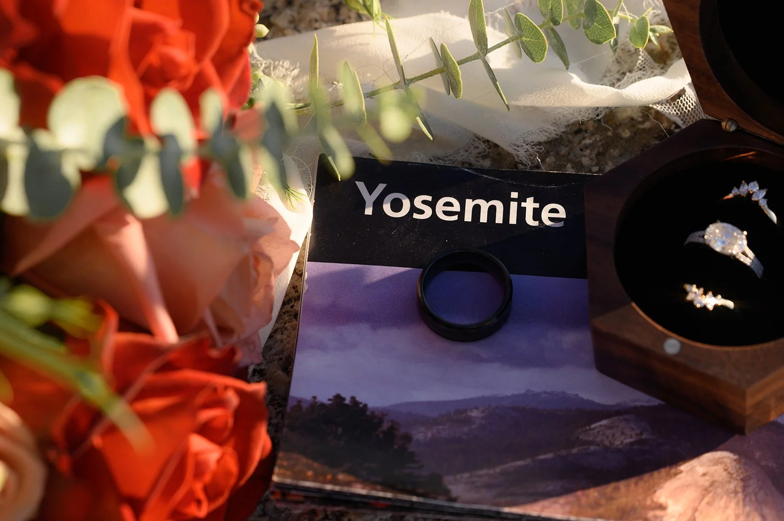 Yosemite National Park Elopement